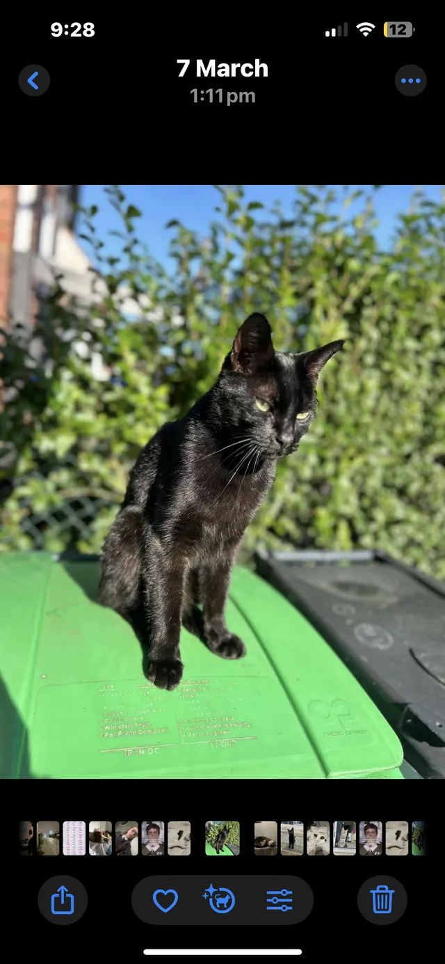 Marley - Newhall Road, Rowley Regis