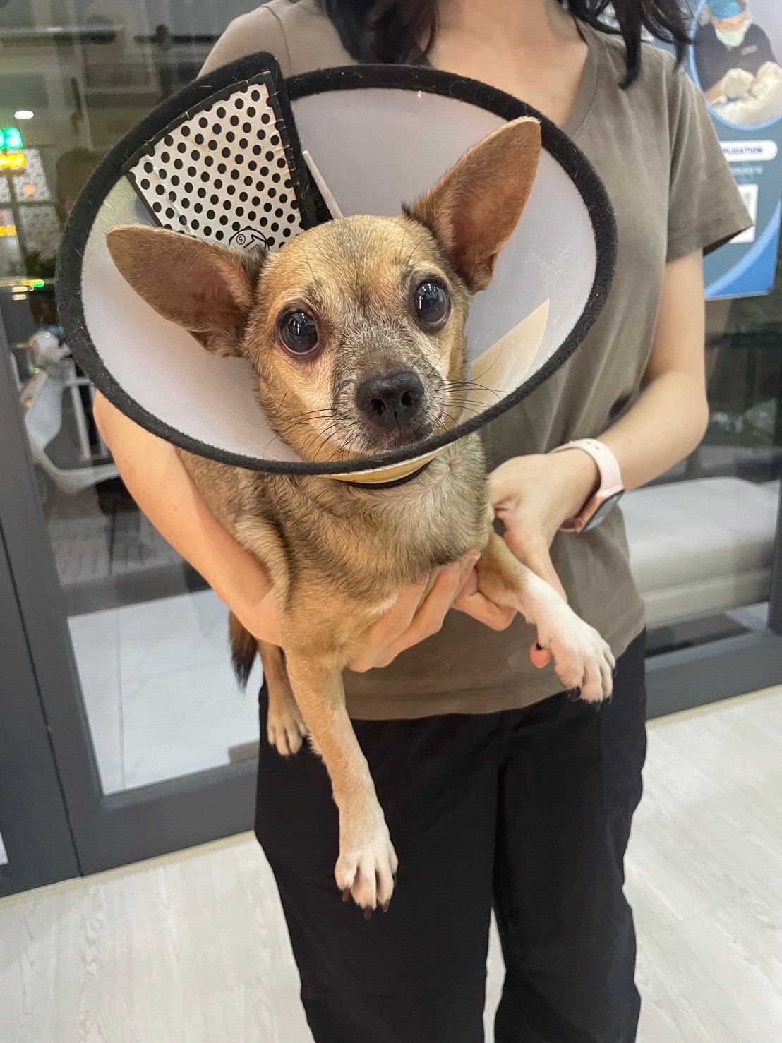 Sai Sai - Tân Phong, Ho Chi Minh City