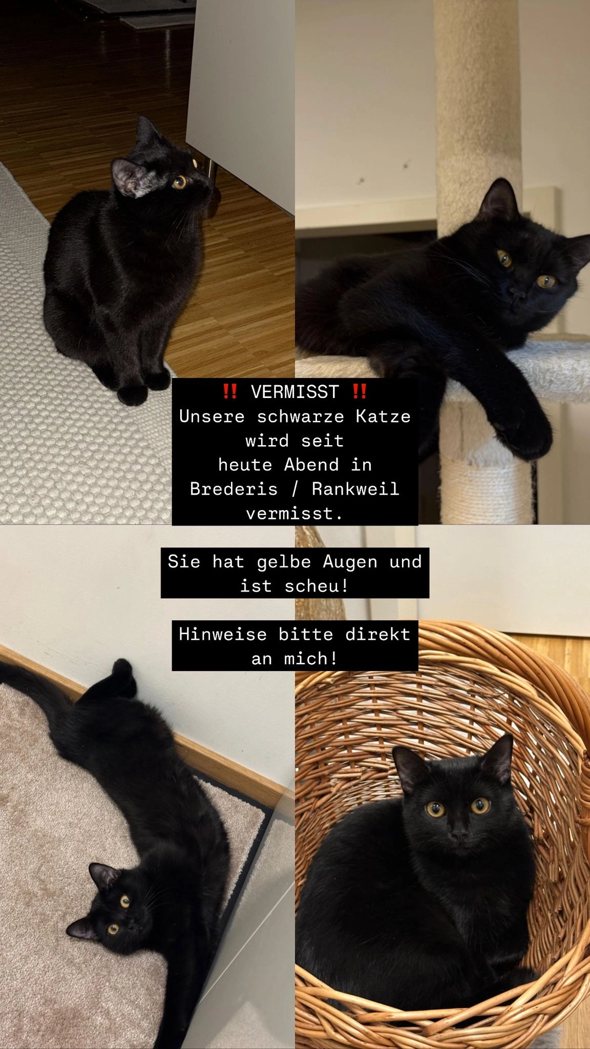 Cookie - Oberer Paspelsweg, Rankweil