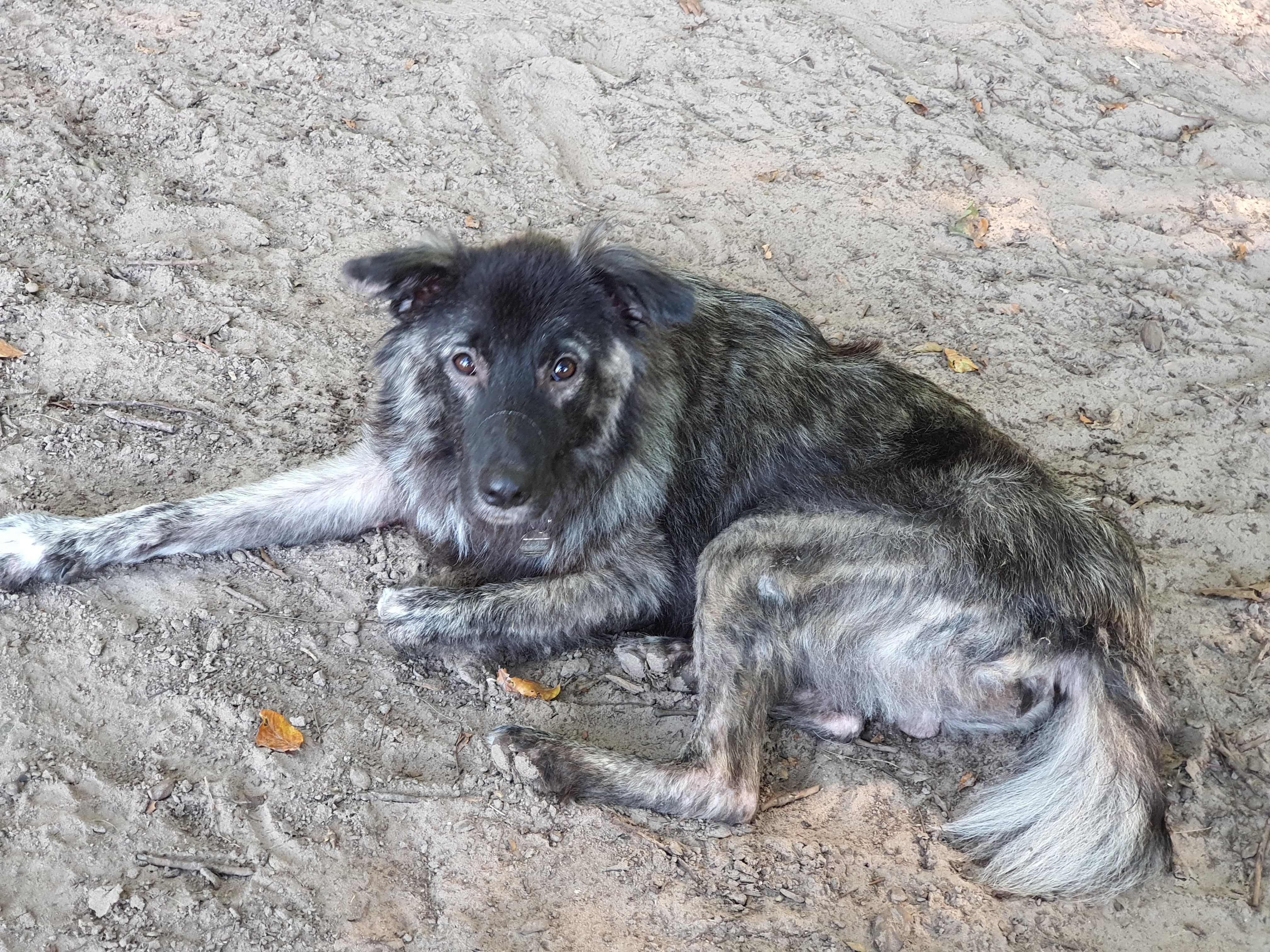 Angel  - Boterdiep, Groningen