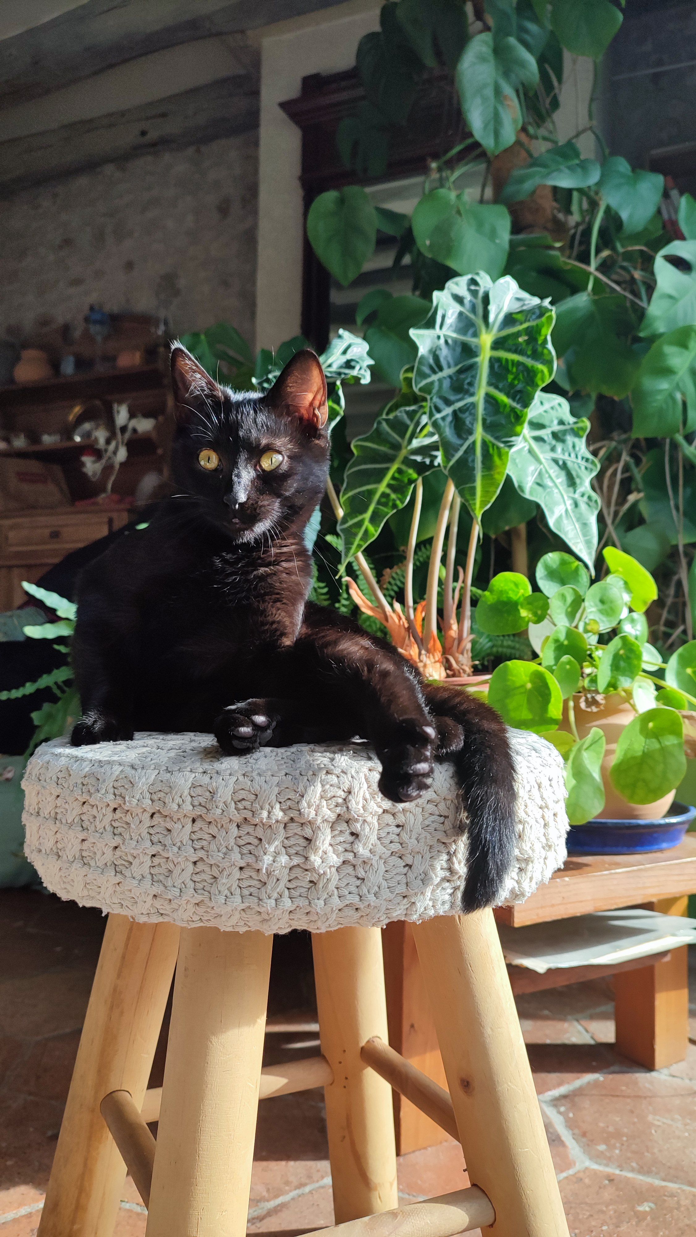 Nova - 2 Rue Lantara, Oncy-sur-École