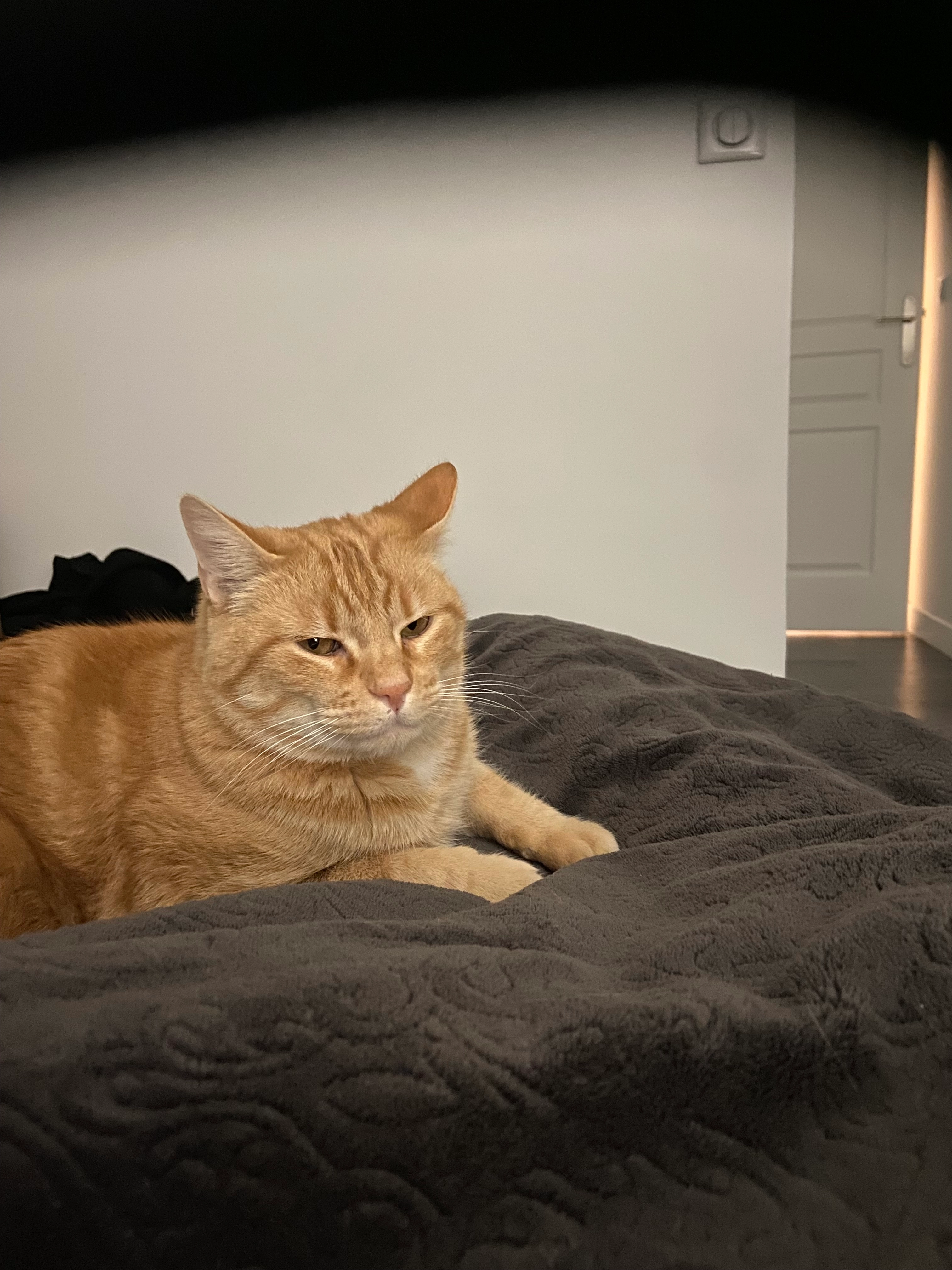 Roudoudou - Route de la Fargeonnerie, Saint-Geniès