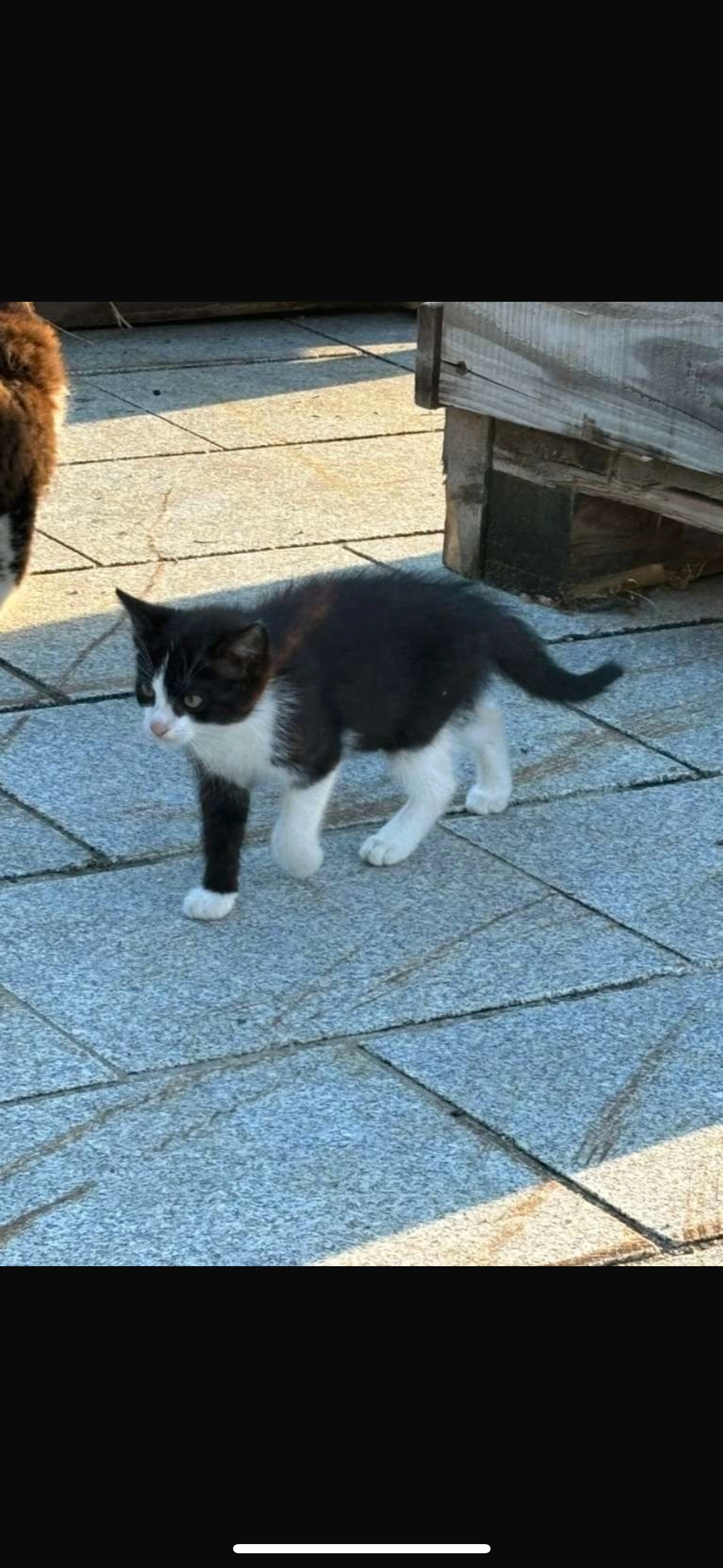 Bruno - Trenkwaldgasse 45, Wien