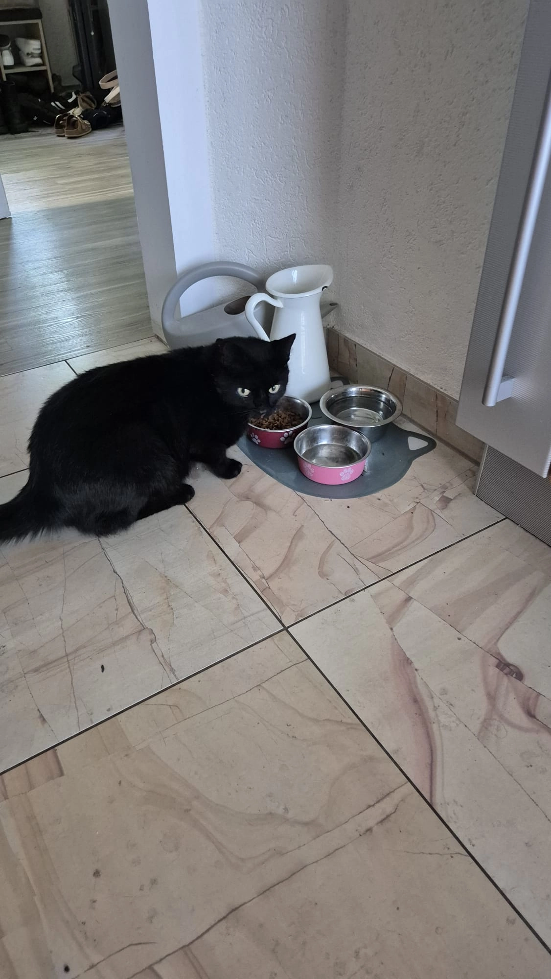 Balu - An Der Märchenwiese, Leipzig