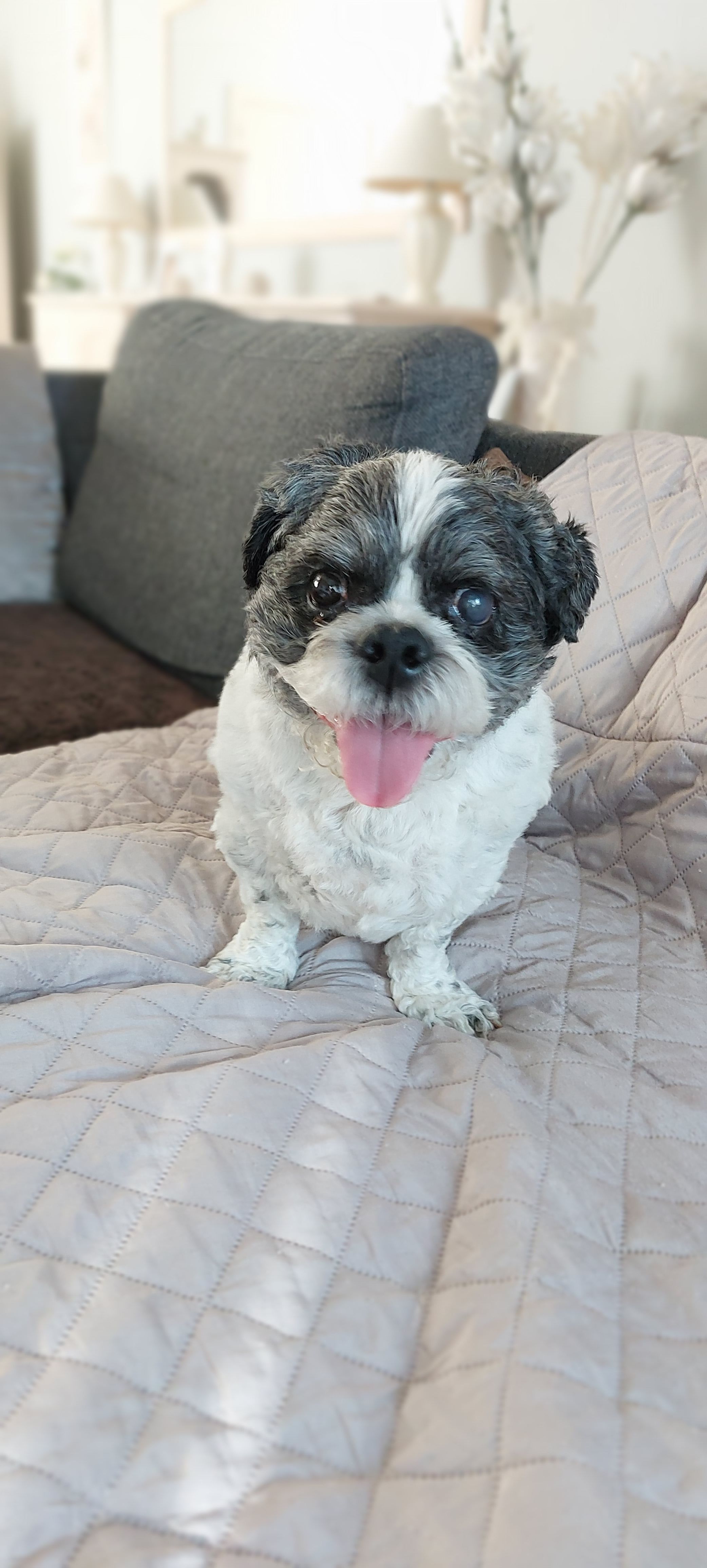 Rakker - Schuttershofstraat, Lanaken