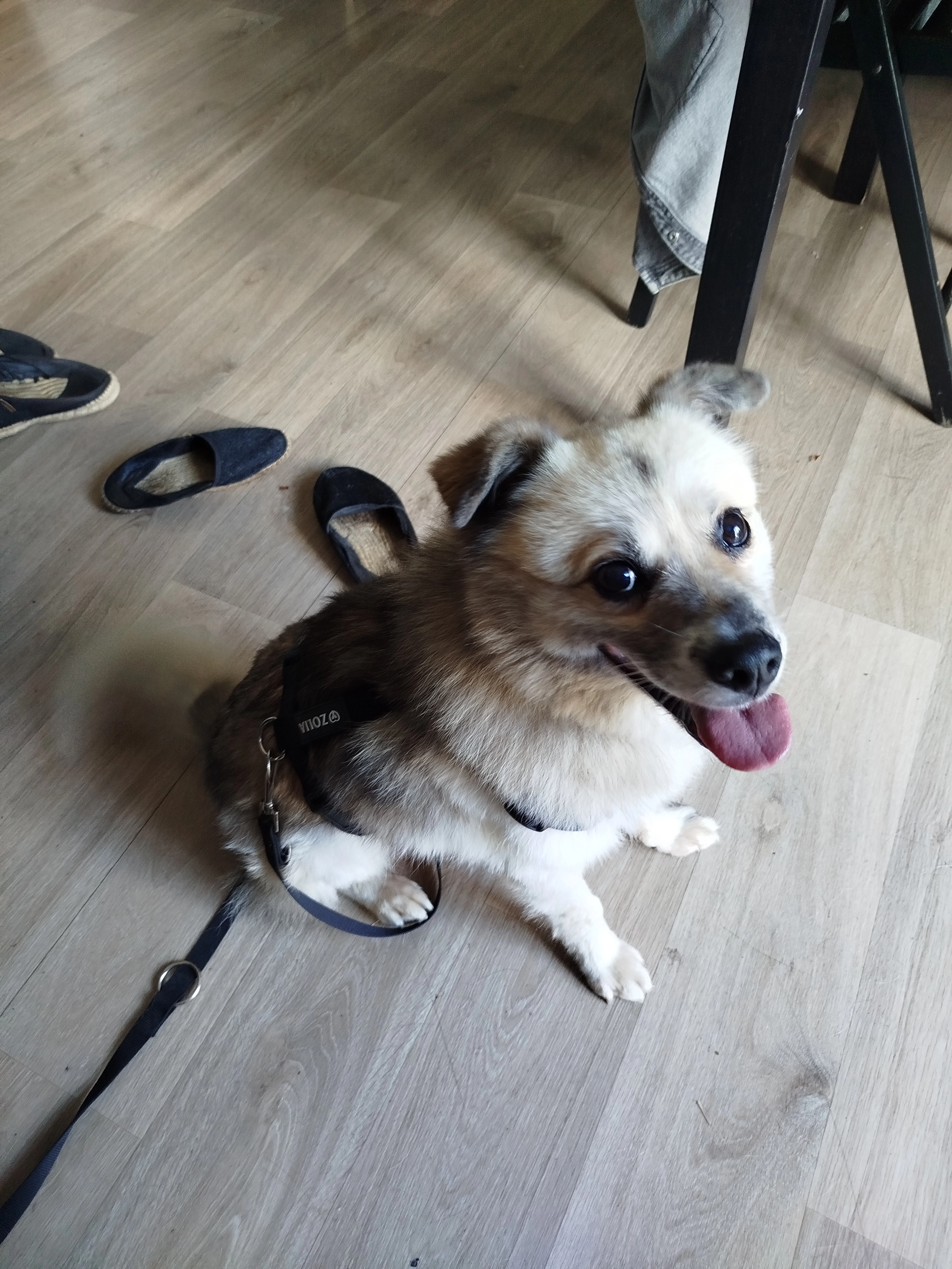 Hopla - Boulevard Jacques Duclos, Tarnos