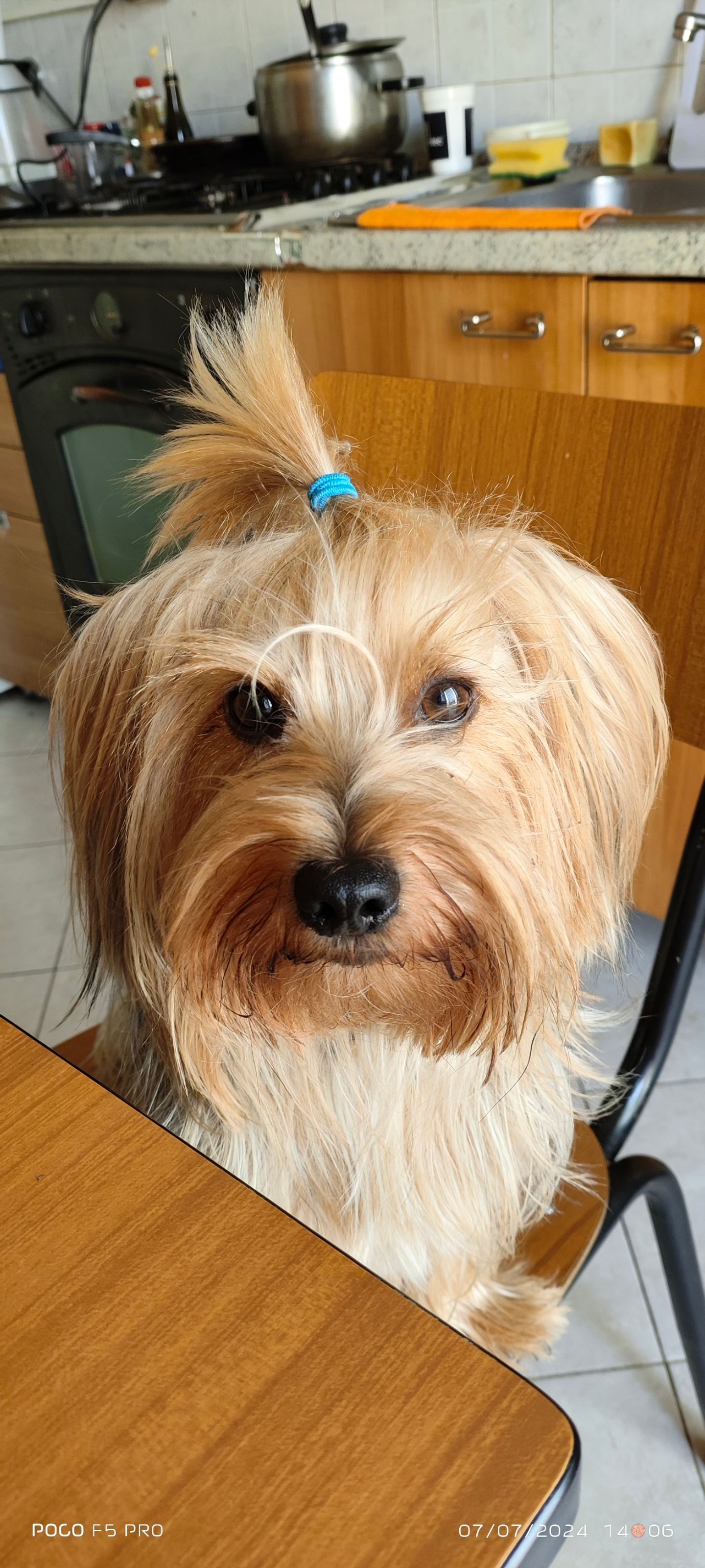 Luca - Via Pierdionigi Pinelli, Turín