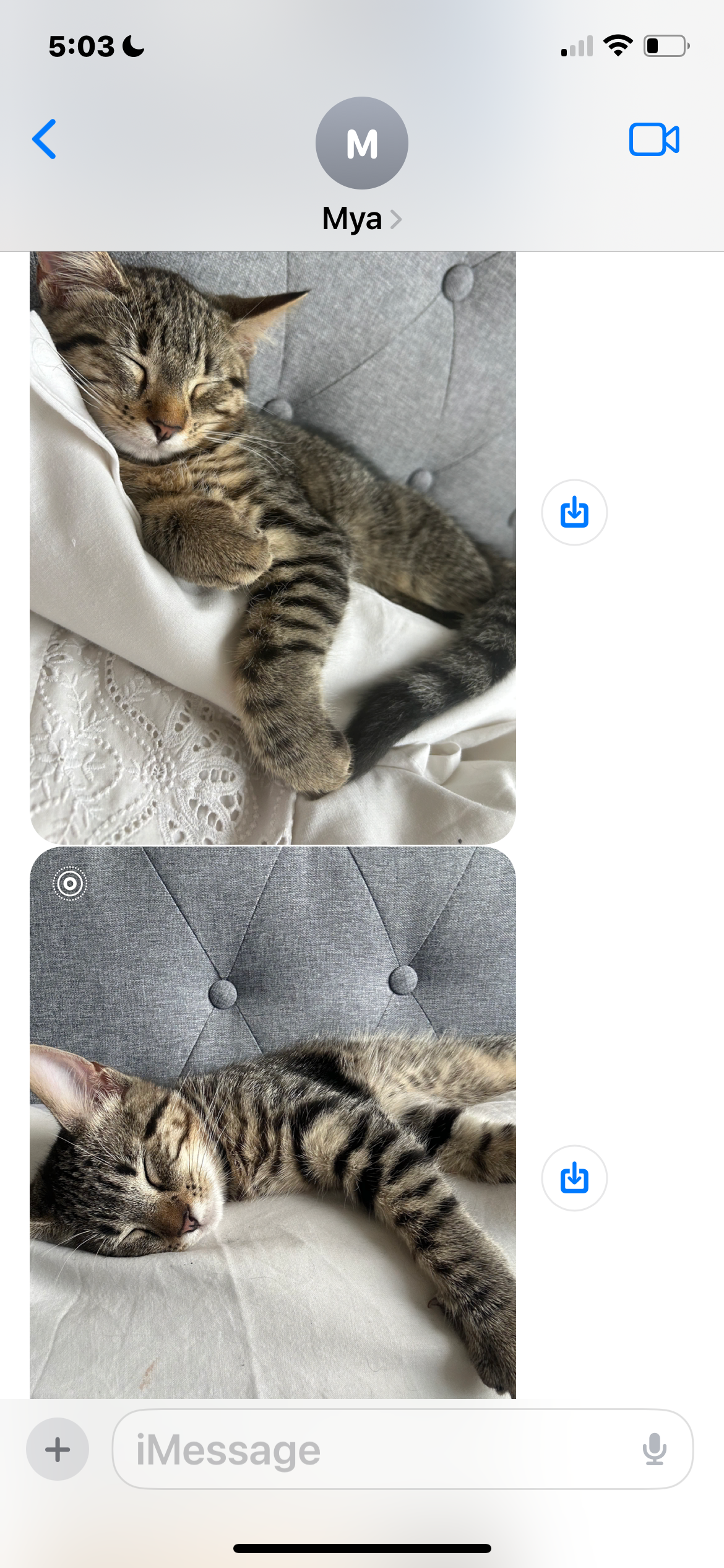 Baby - 77 South Street, Lymington