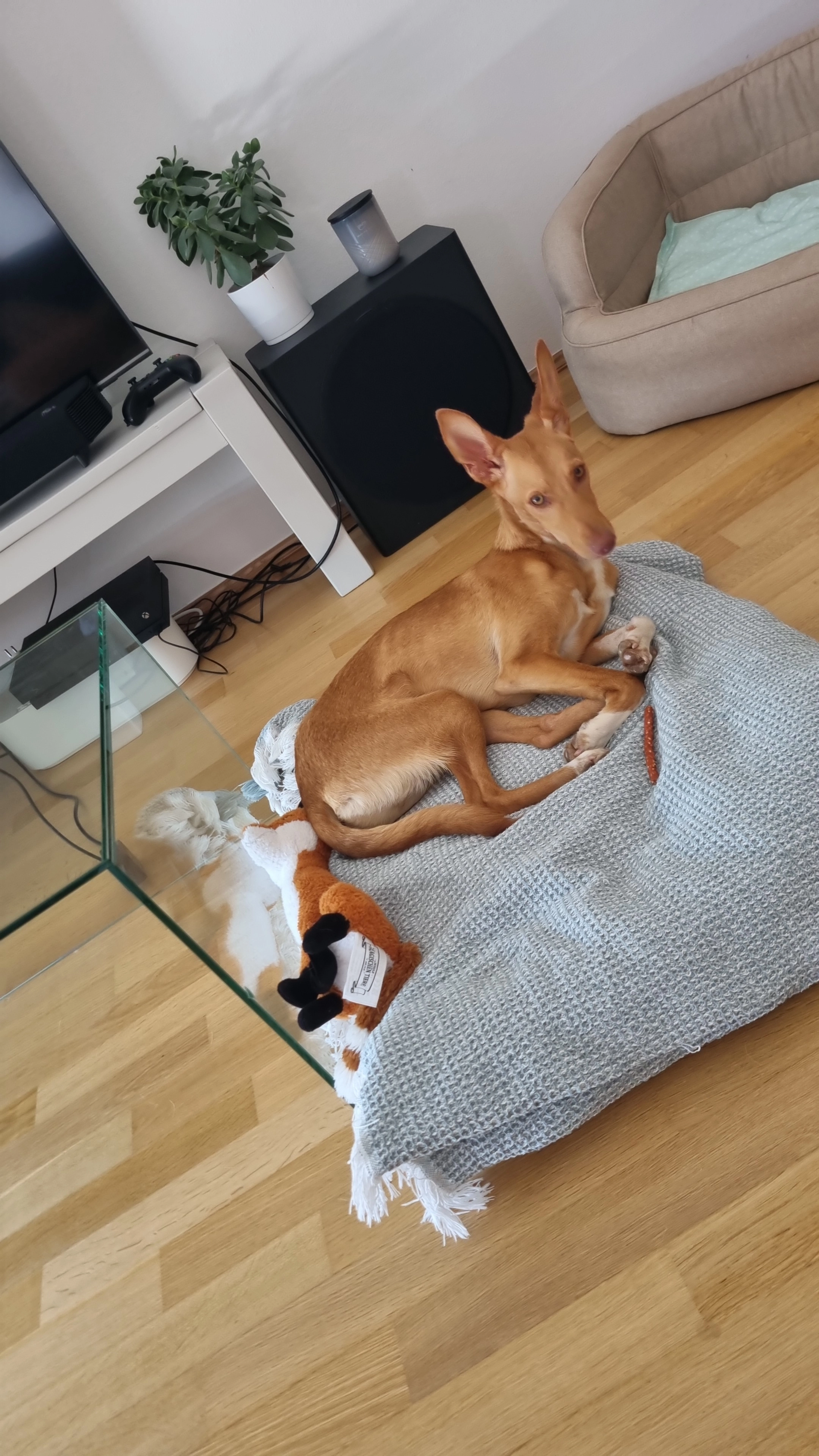 Mailo - Europa-Allee 41, Frankfurt am Main