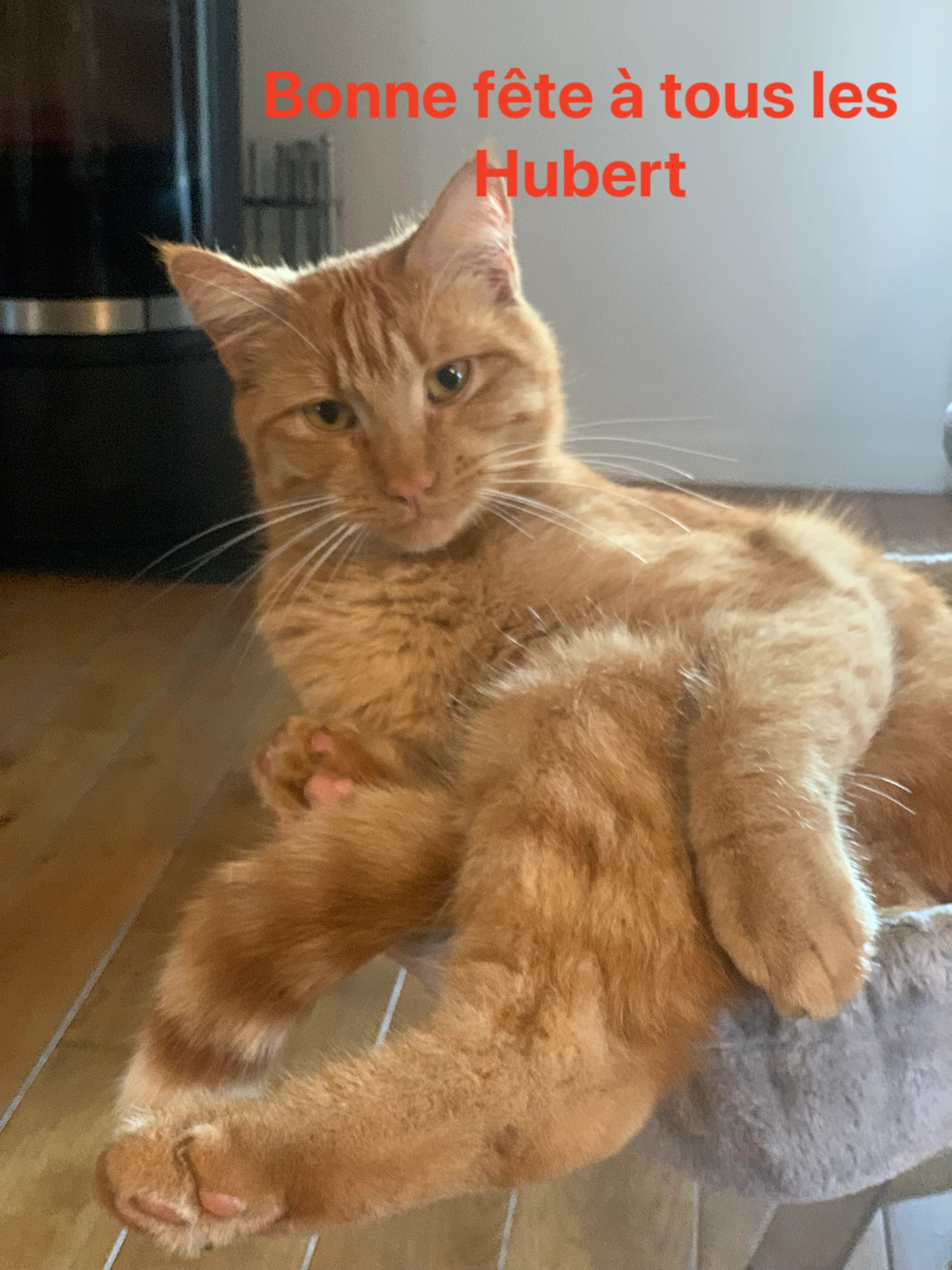 Uber  - Rue Des Souterrains, Fressines