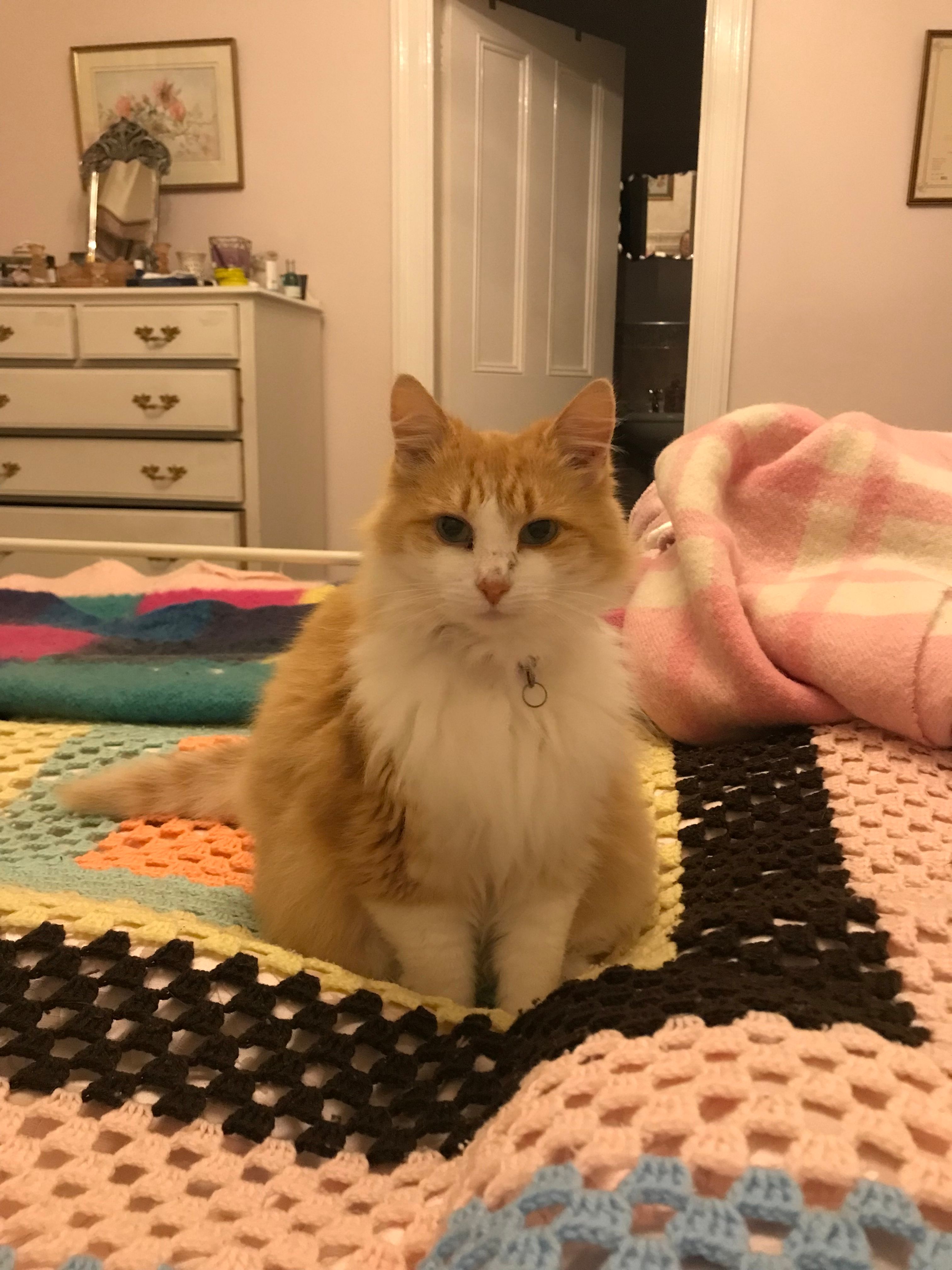 Floss - Gilford Road, Lurgan