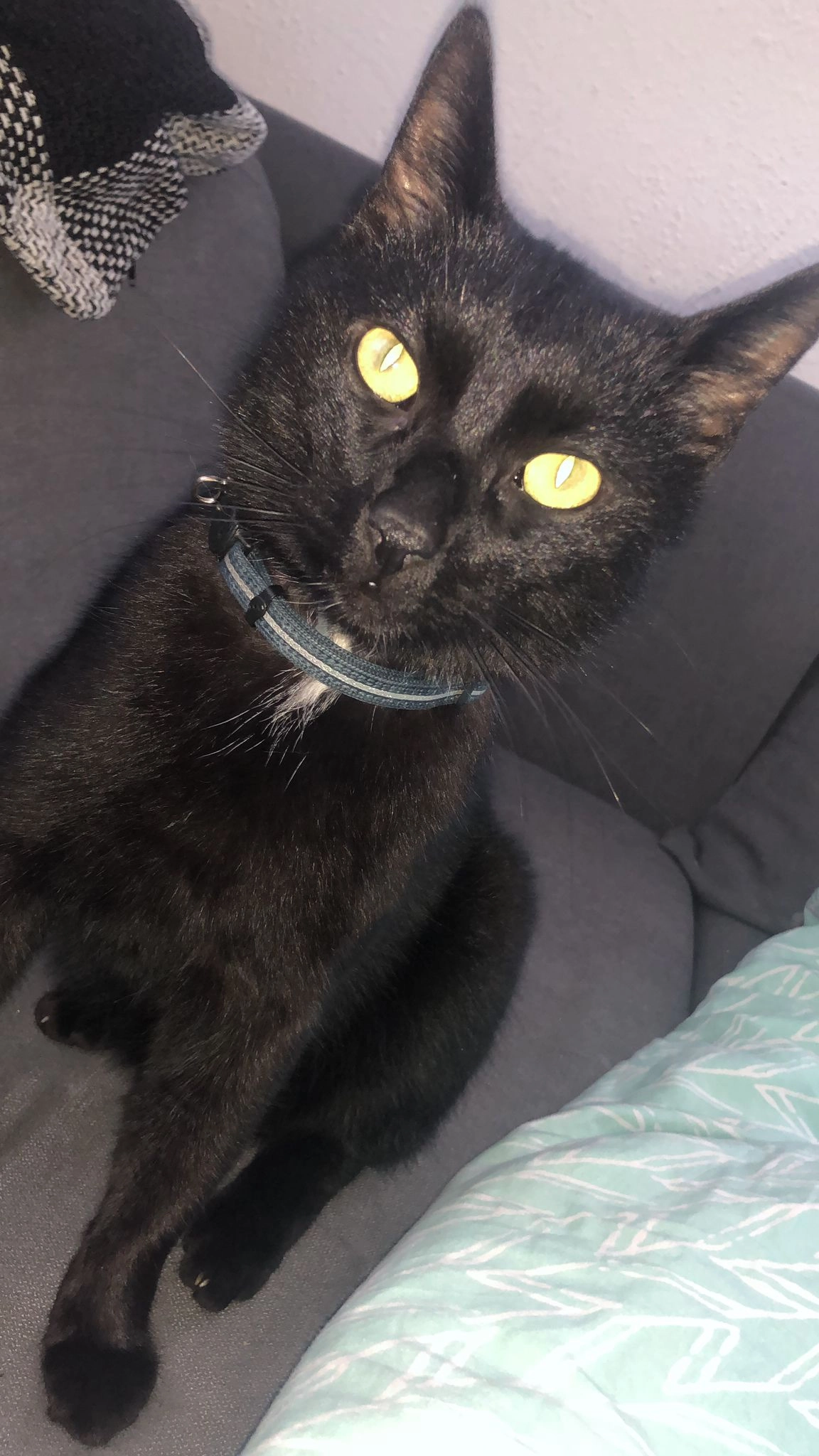 Aslan - Kirchenlamitzerstraße/ Ochsenkopfstraße , Münchberg