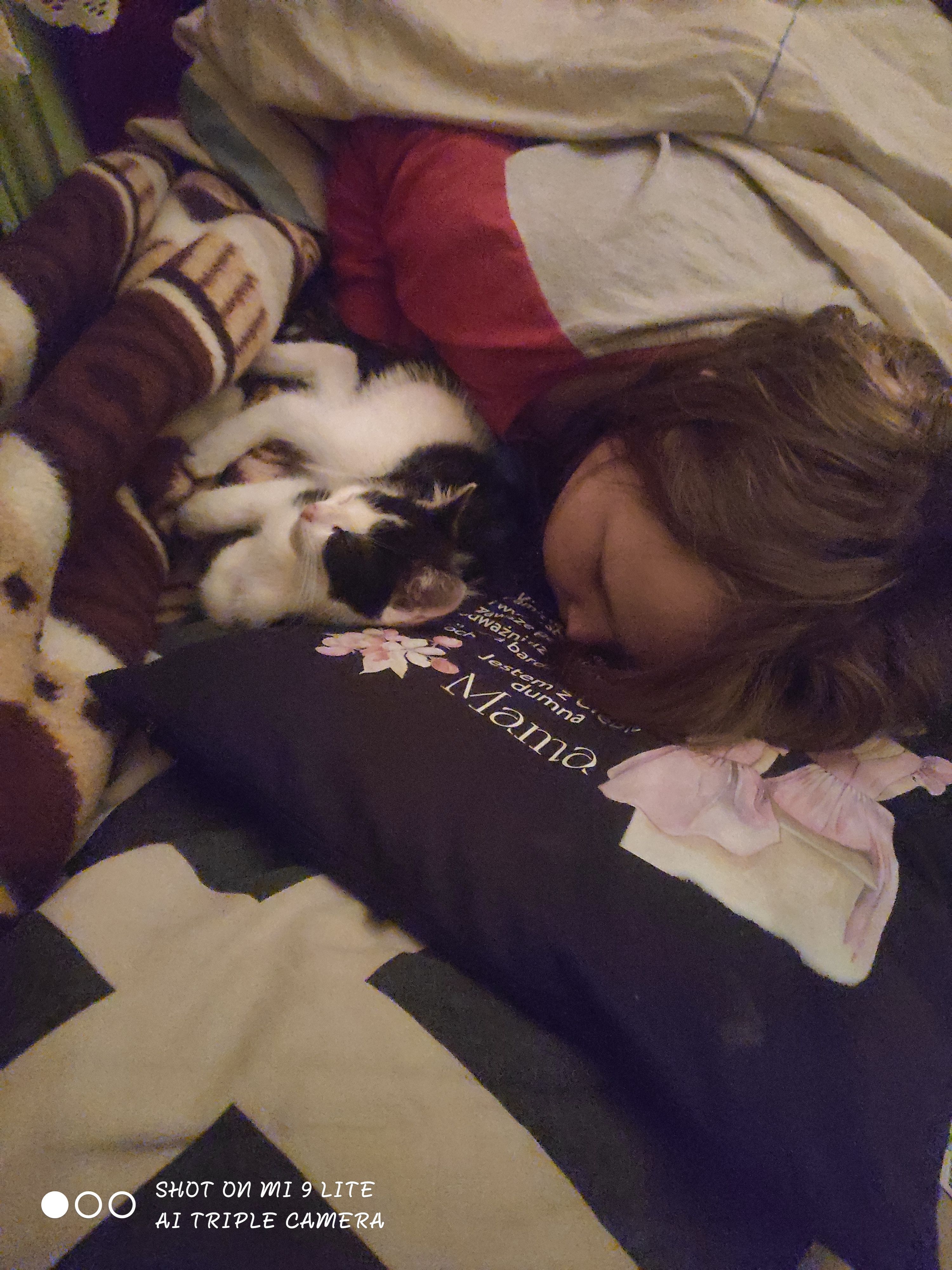 Simba - Świętego Jana, Bieniewice