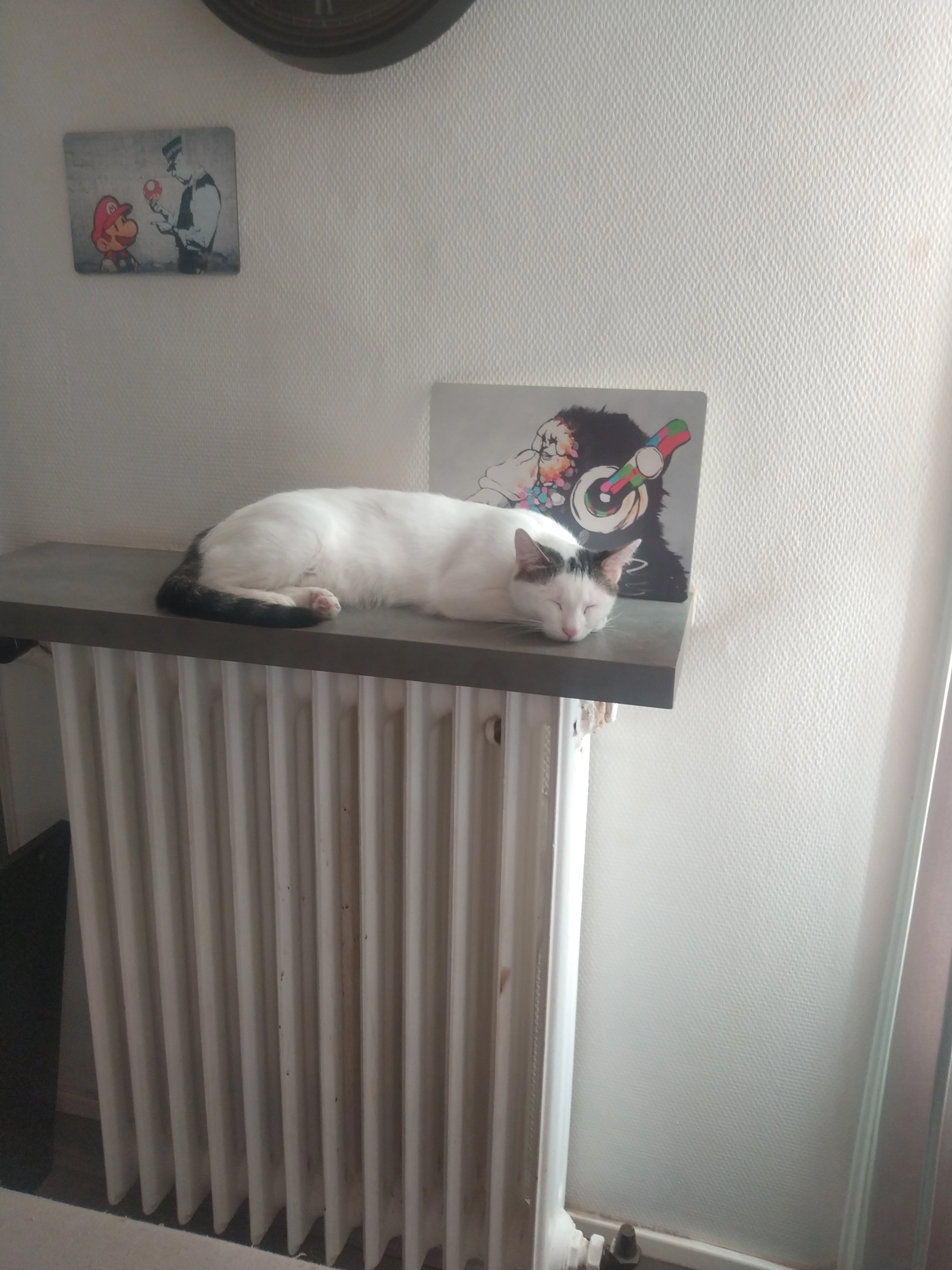 vanille - 5 Rue Nicolet, Grenoble