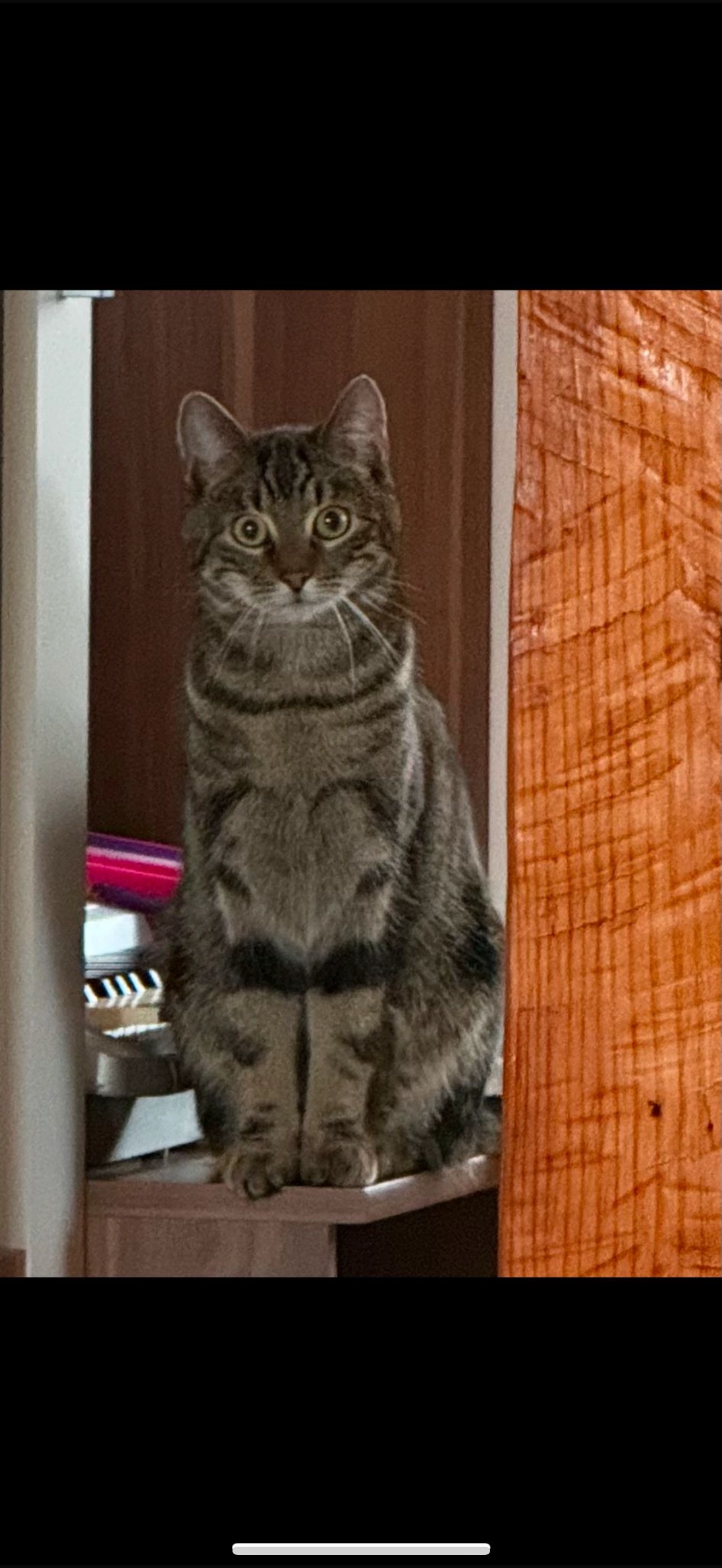 Cosmas  - Straße der Einheit, Einhausen