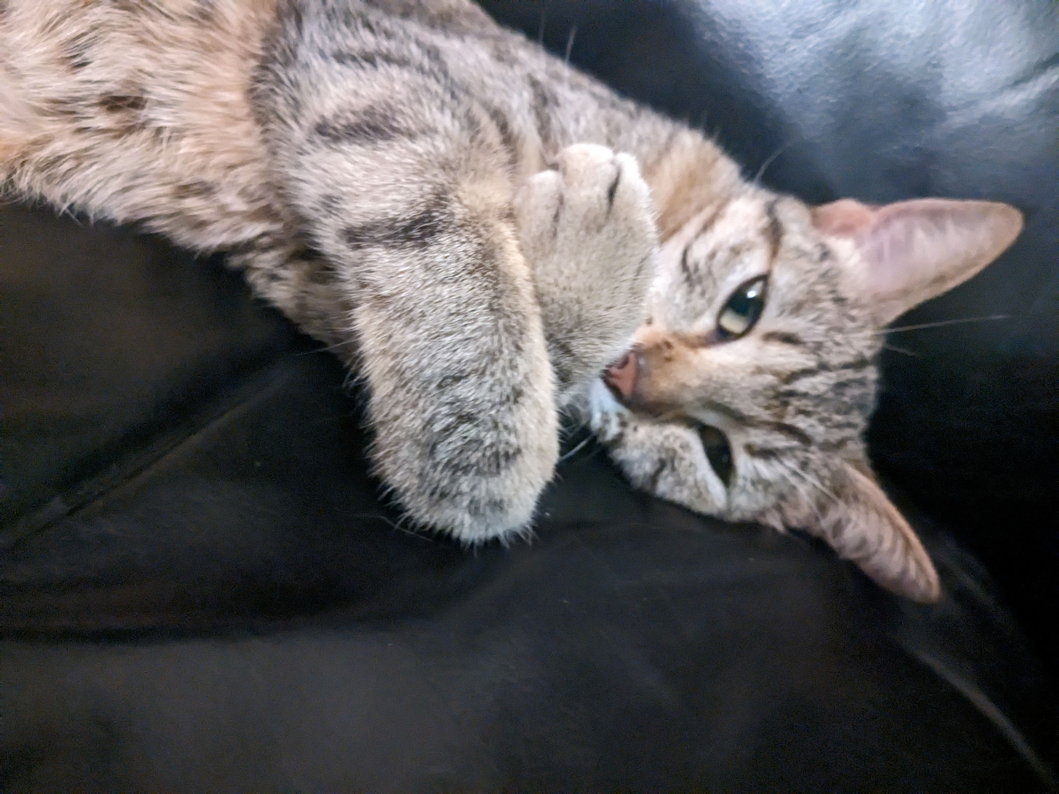 Hermione - Grande Rue, Malbouhans