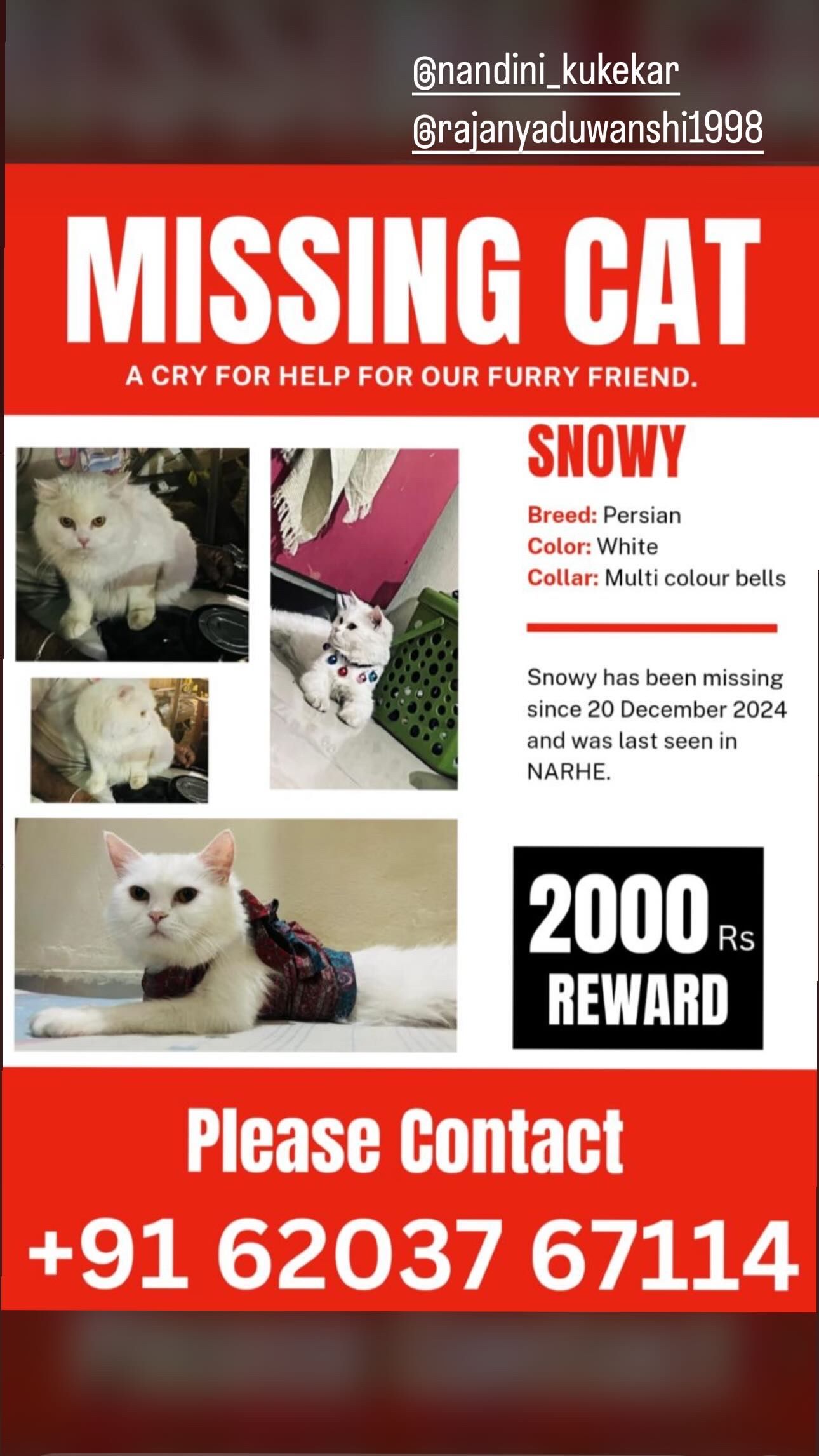 Snowy - Sinhgad Road, Vadgaon Budruk