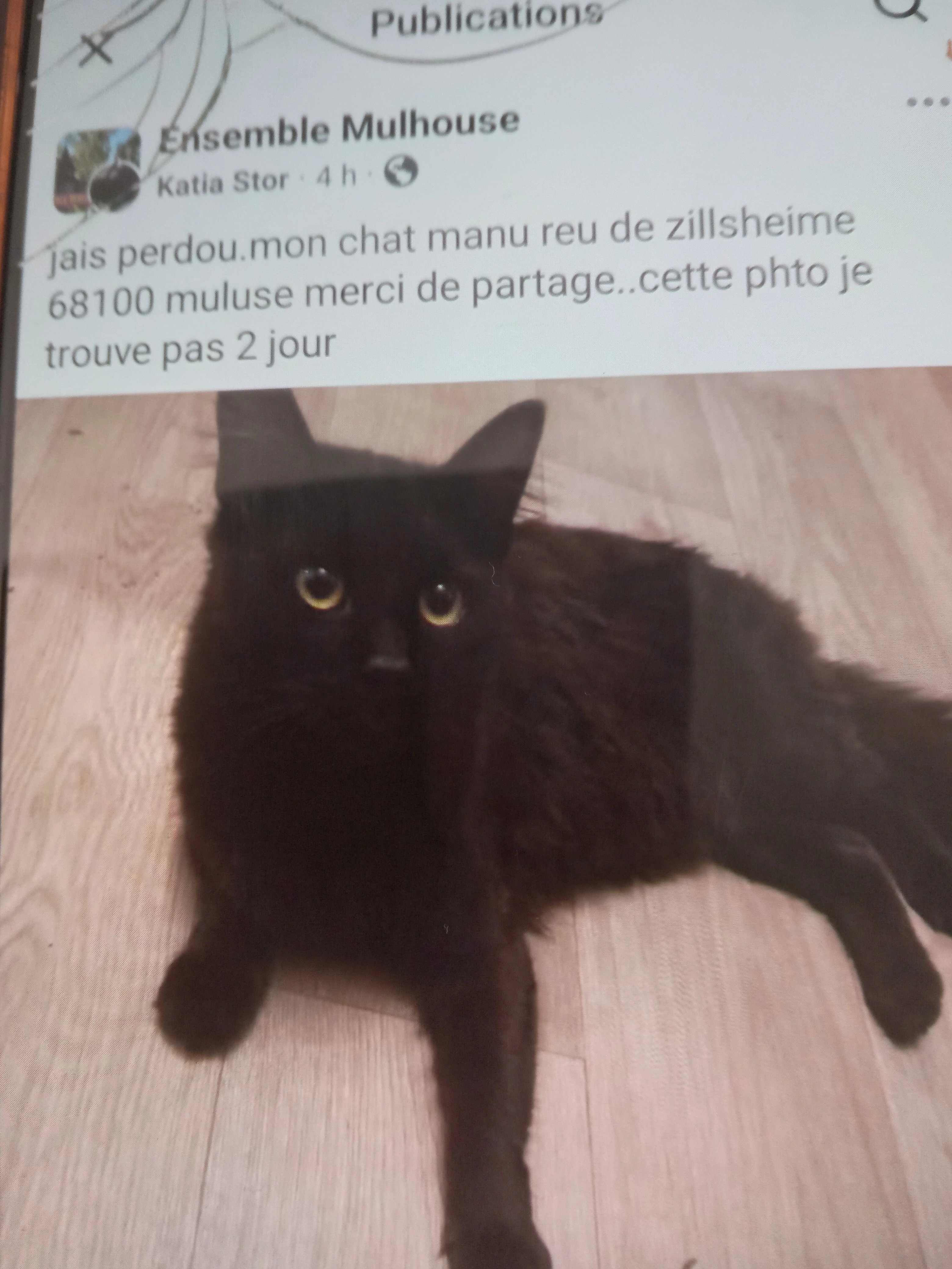 Manou - 68100, Mulhouse