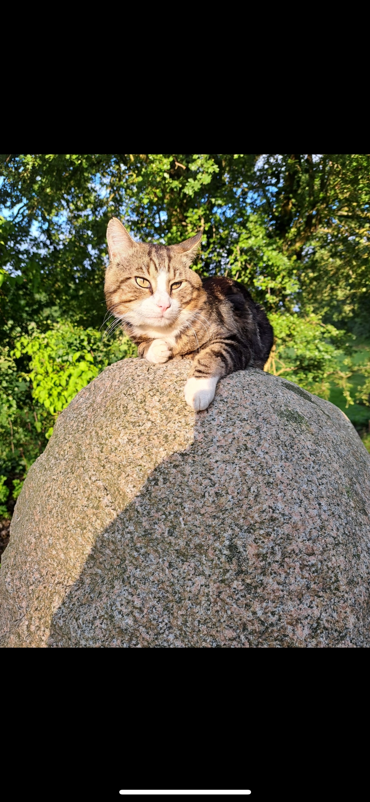 Lui  - Am Sportplatz 16, Idstedt