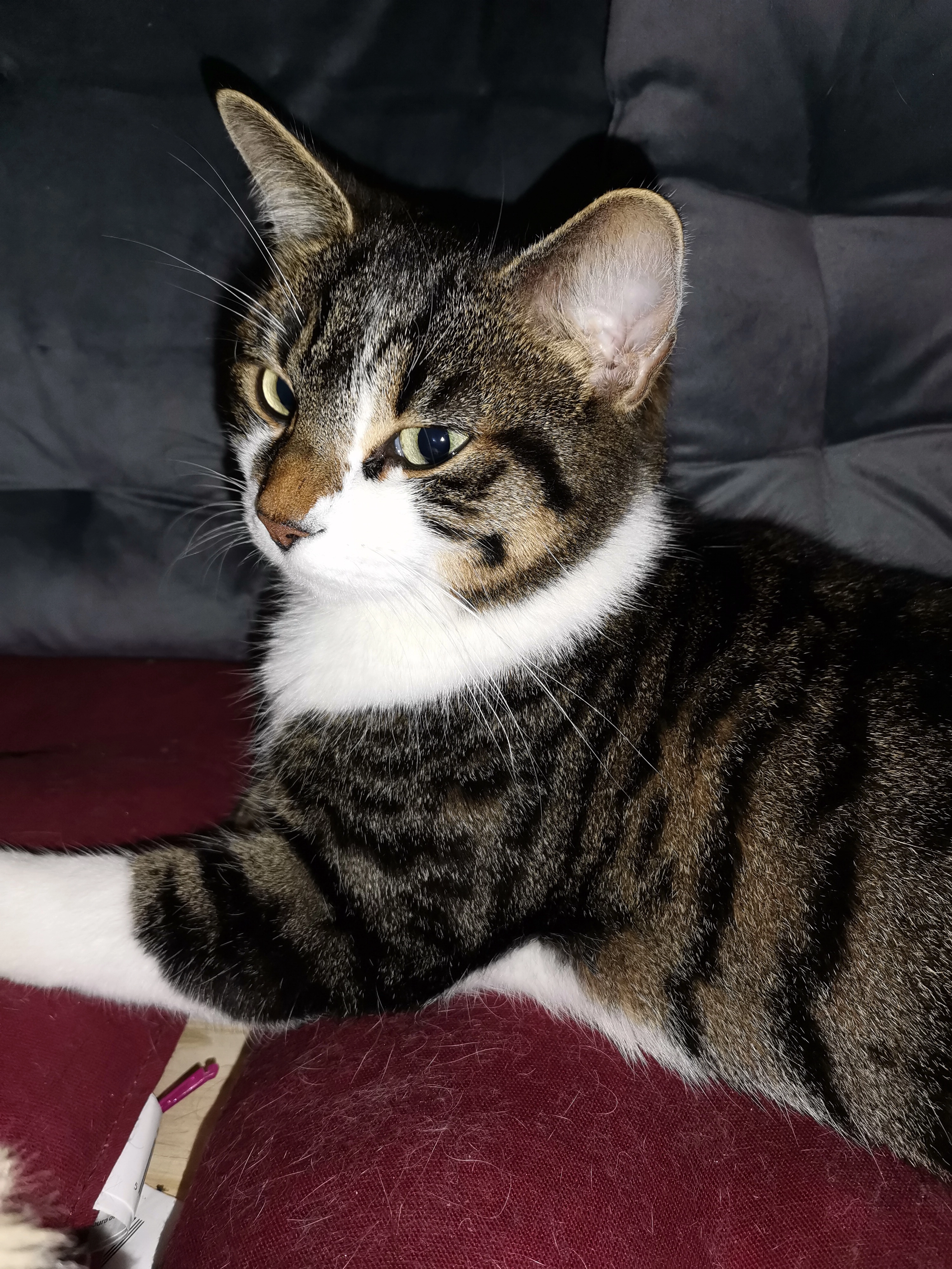 Krümel - Bahnhofstraße, Schwabmünchen