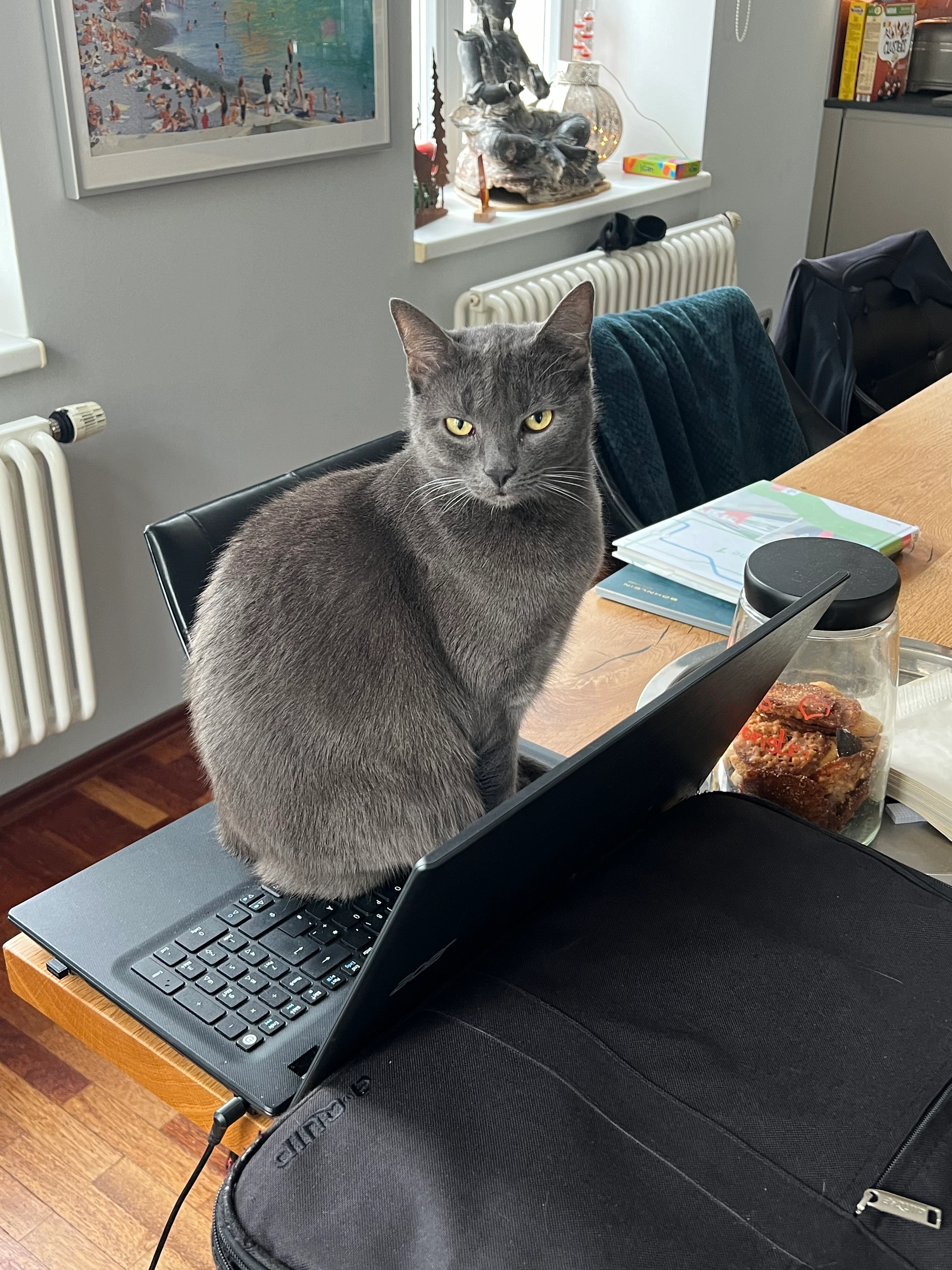 Coco  - Am Zwinger, Bamberg