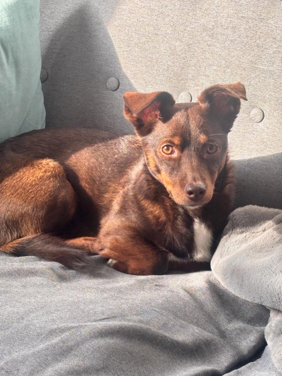 Moka - 40 Boulevard Souchet, Noisy-le-Grand