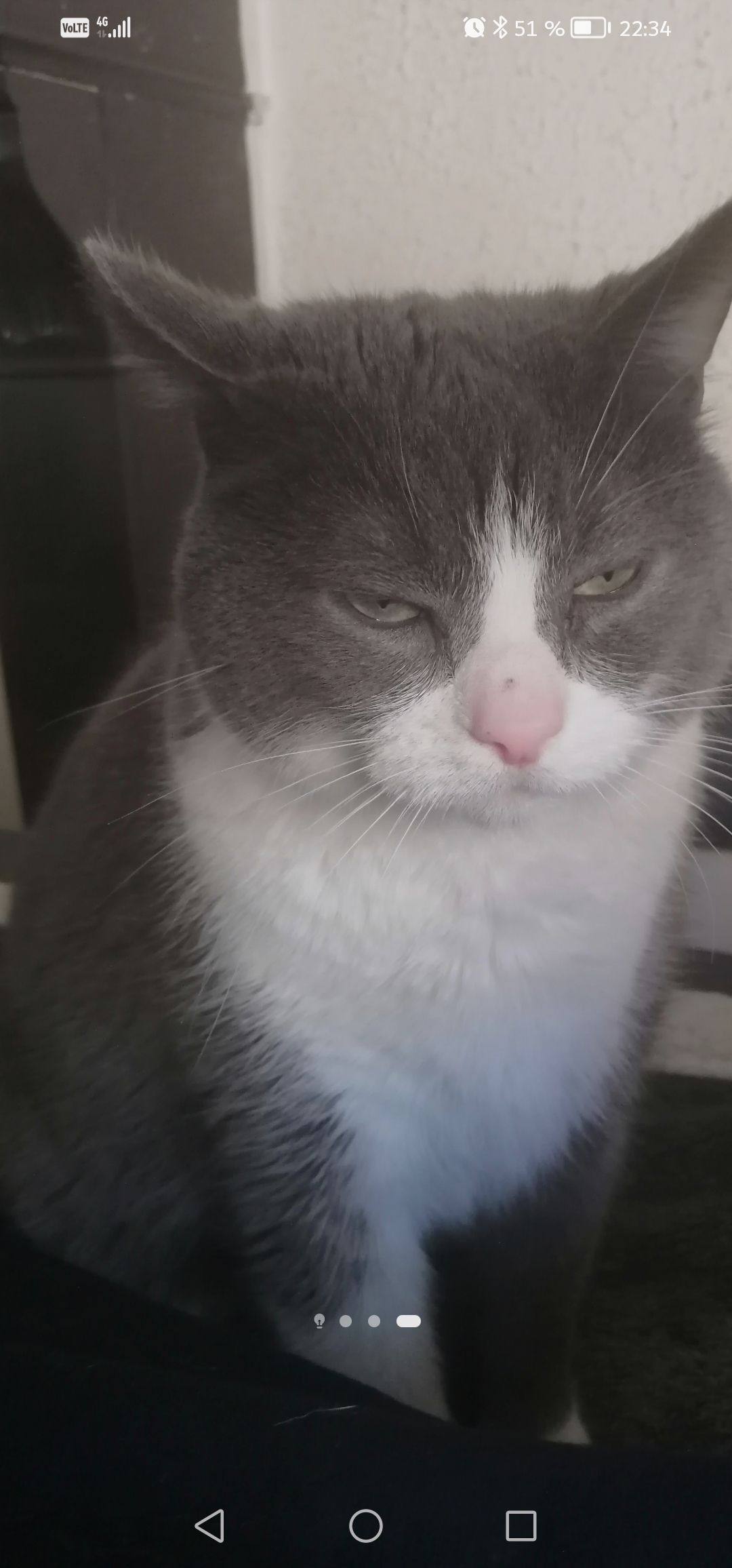 Cali - 26 Rue Sainte-Marguerite, Châlons-en-Champagne