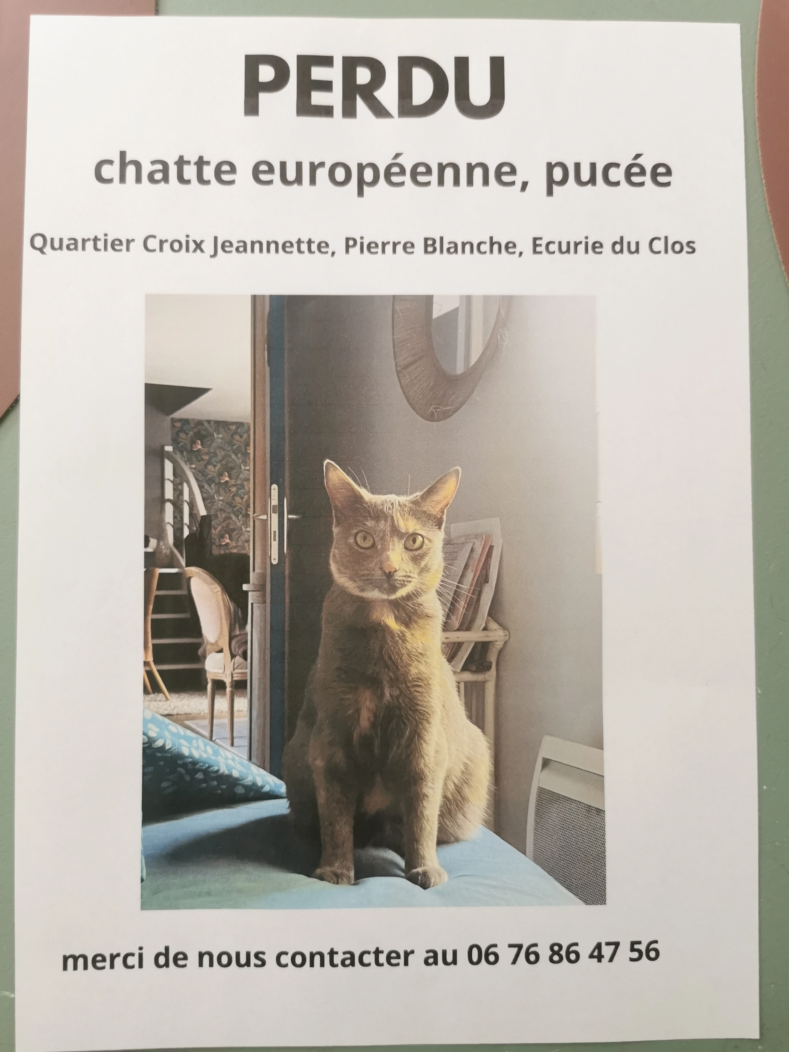 Nanao  - Rue Albert Luthuli, Bouguenais