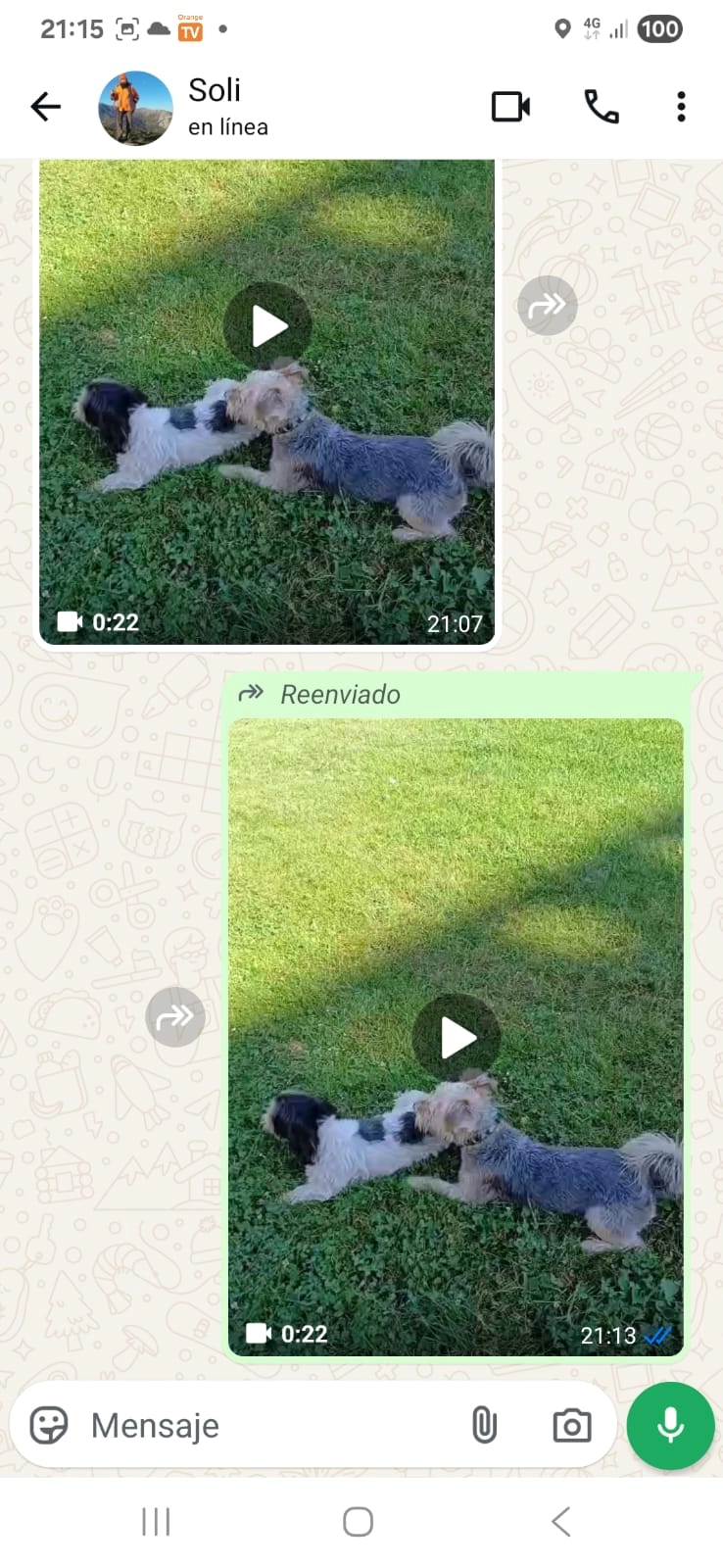 Thor  - Calle Zoila, Gijón