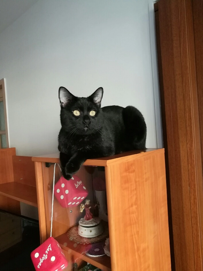 DOUDOU - Boulevard Joliot Curie, Fontaine