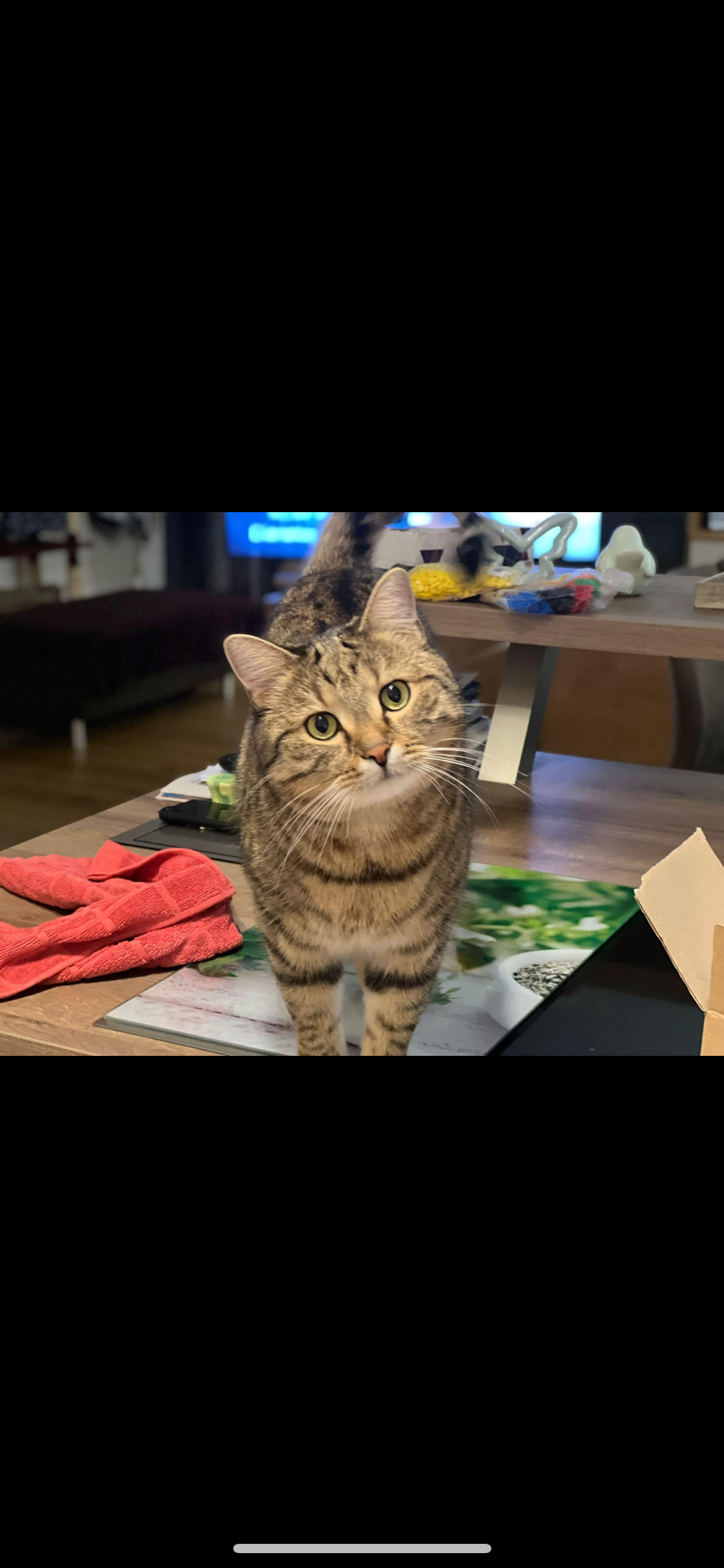 Balu - Oberschwaig, Neukirchen bei Lambach