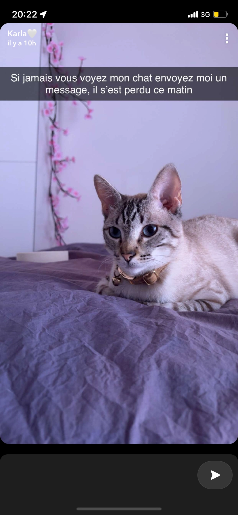 Siberia  - Chemin de la Coudraie 13, Prilly