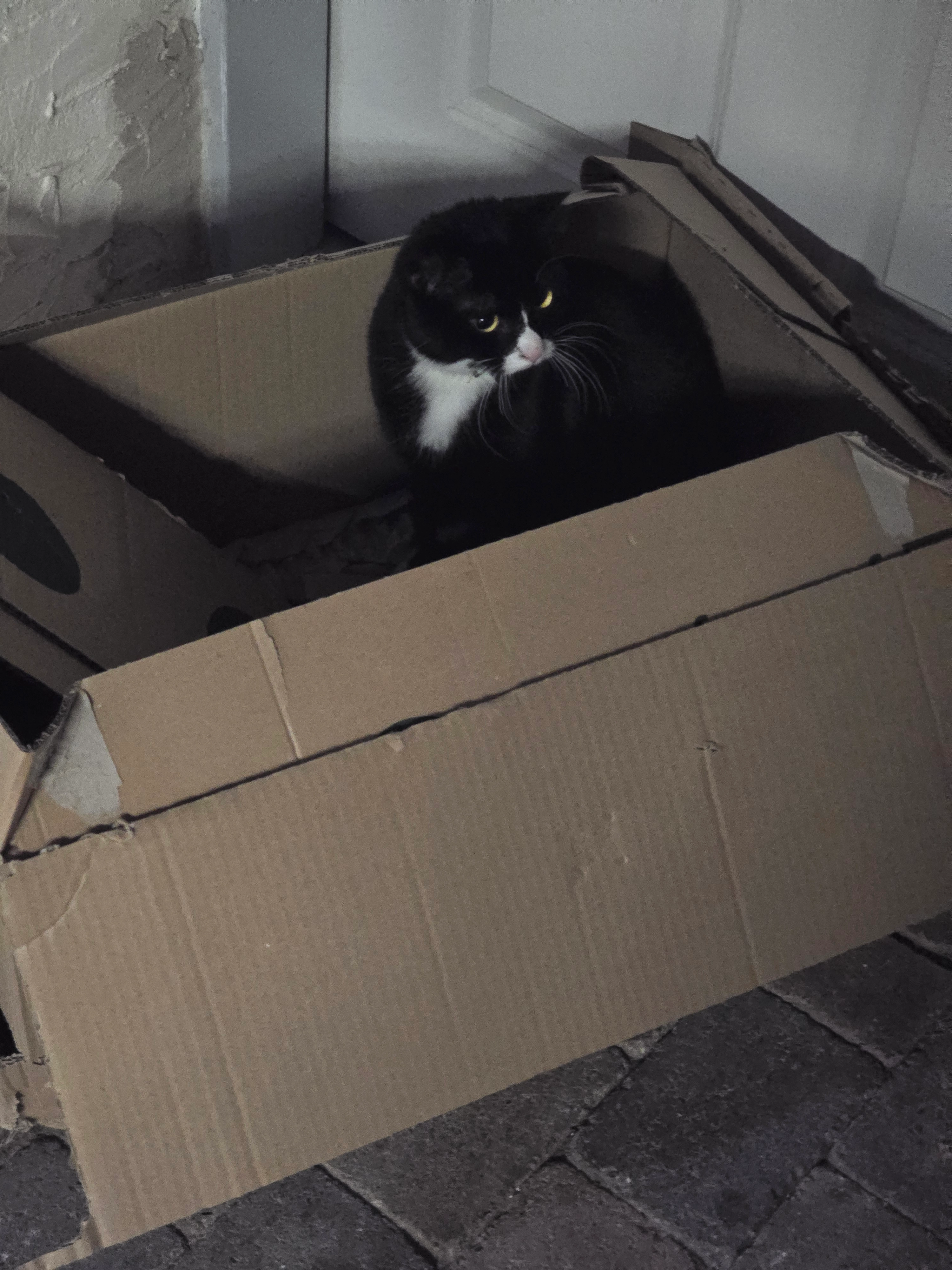 Boots - Bahnhofstraße 54, Oerlinghausen