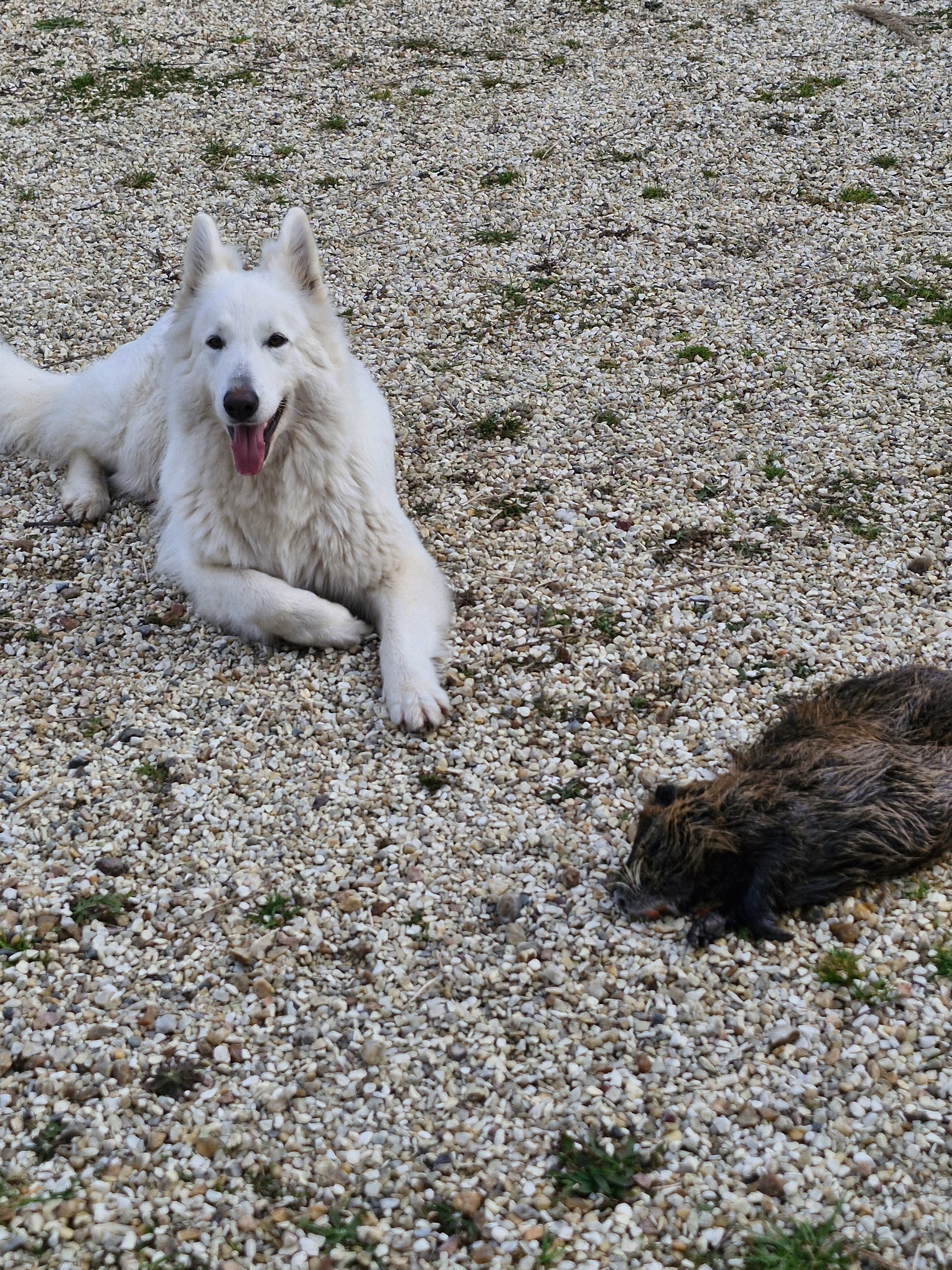 Uxi  - 107 Voie des Perraudières, Cour-Cheverny