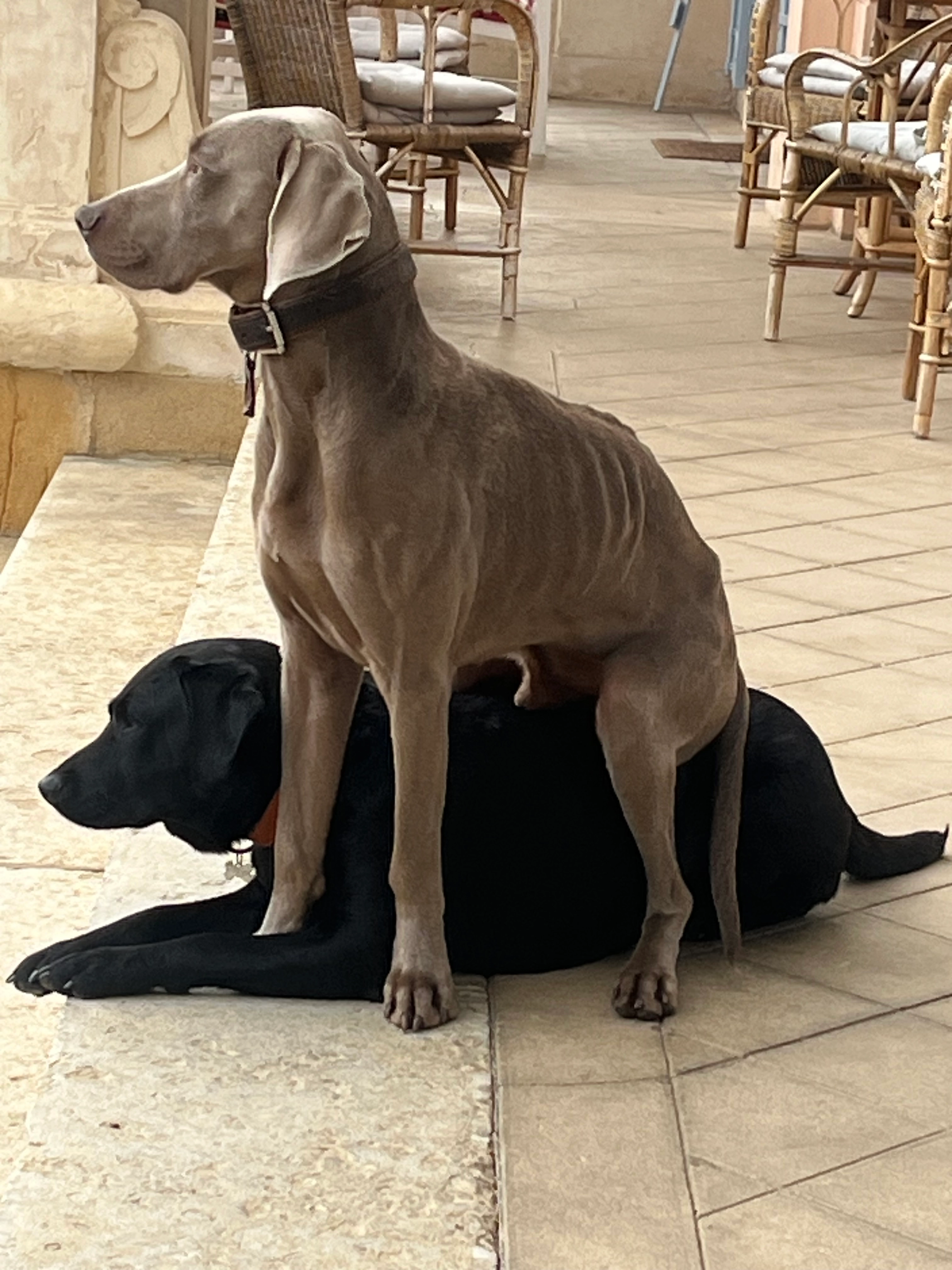 Socrate - Route de Saint-Vérand, Val-d'Oingt