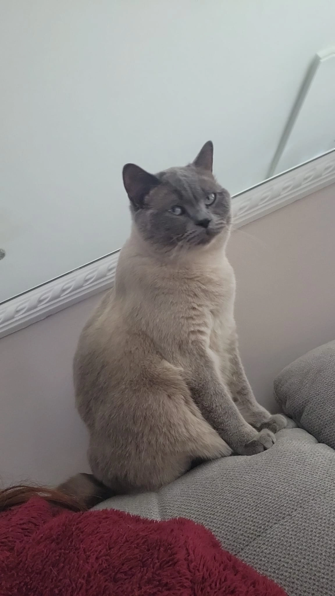 Frank - Am Furth, Geiersthal