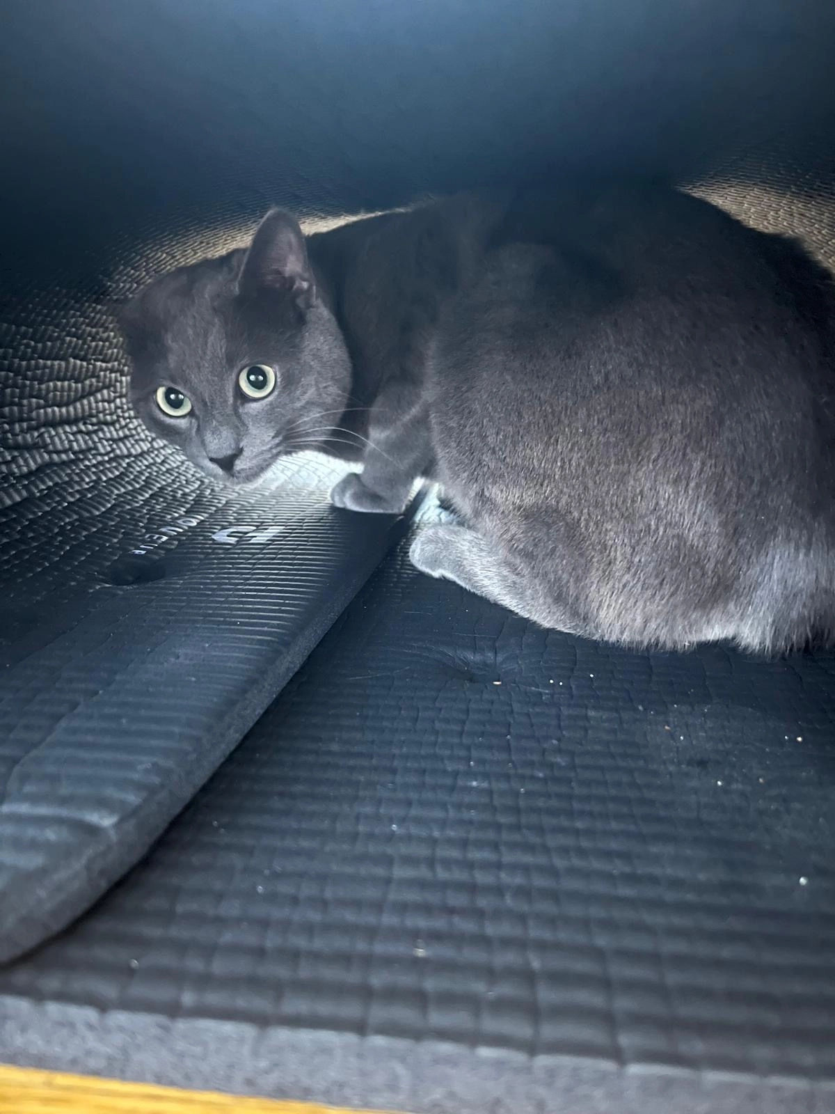 Kaï - Route De Bramois, Bramois