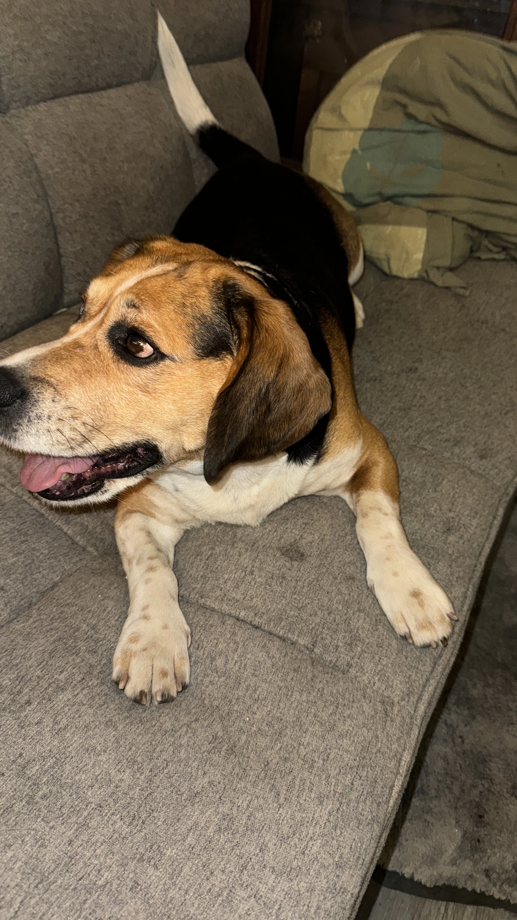 Hugo - 59 Rue Gabriel Péri, Sartrouville