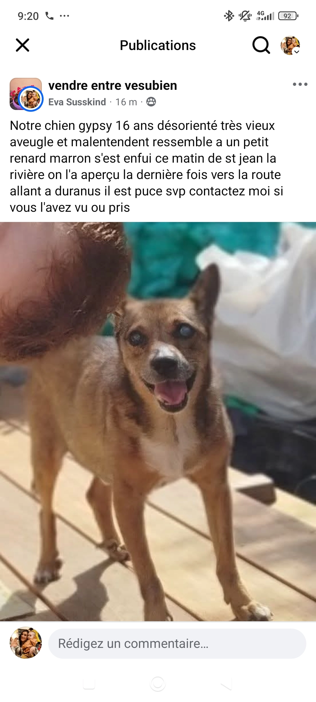 Gypsy - M 2565, Utelle