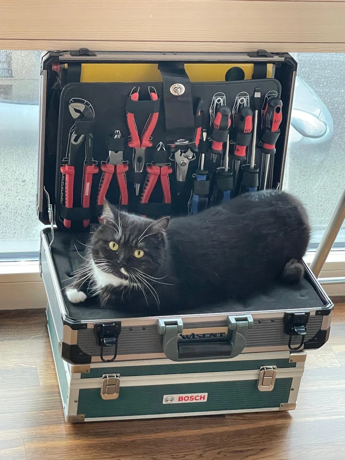 Nala - Schloßstraße, Saarwellingen