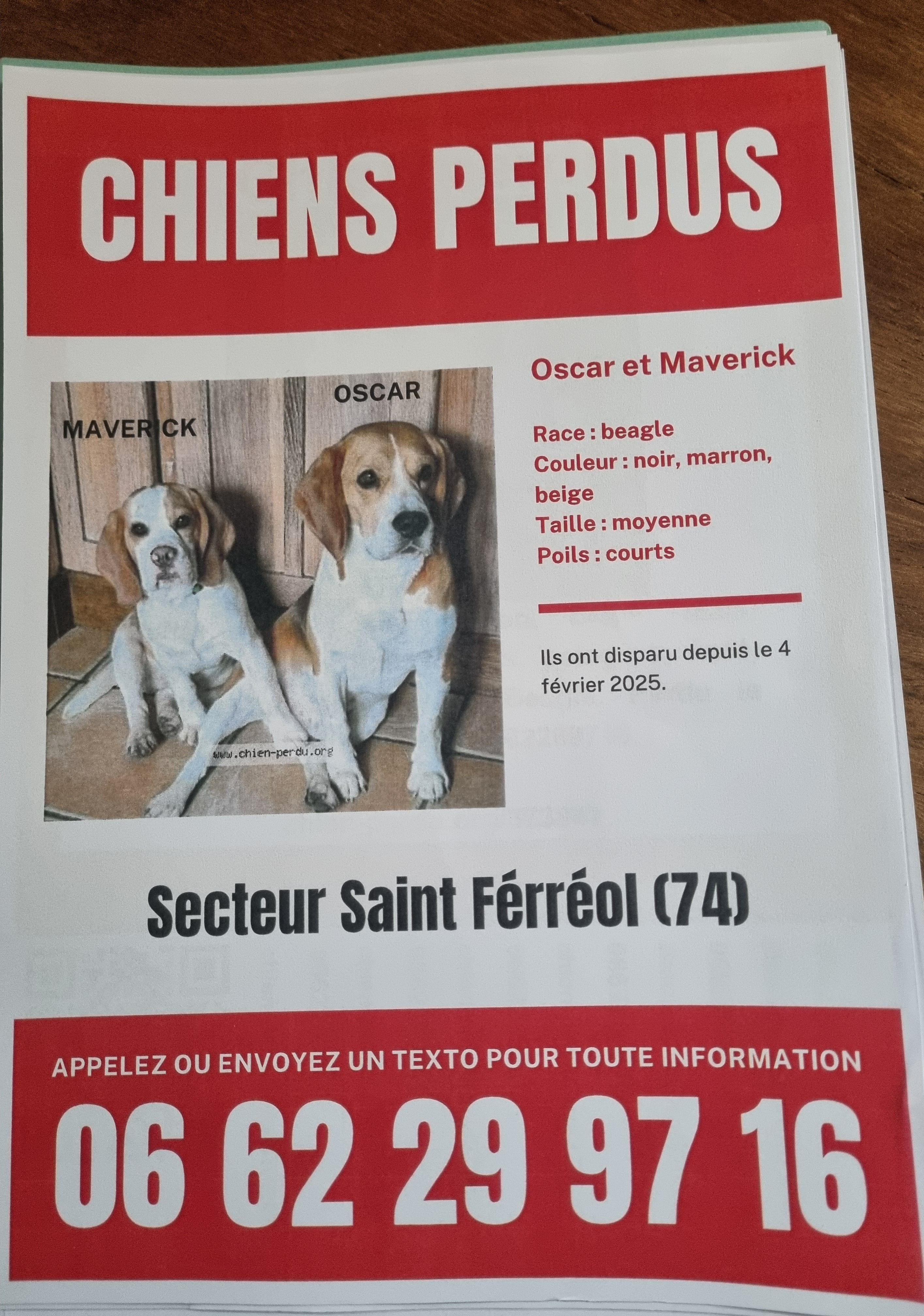 Oscar et maverick  - Chemin De Pré Corbet, Saint-Ferréol