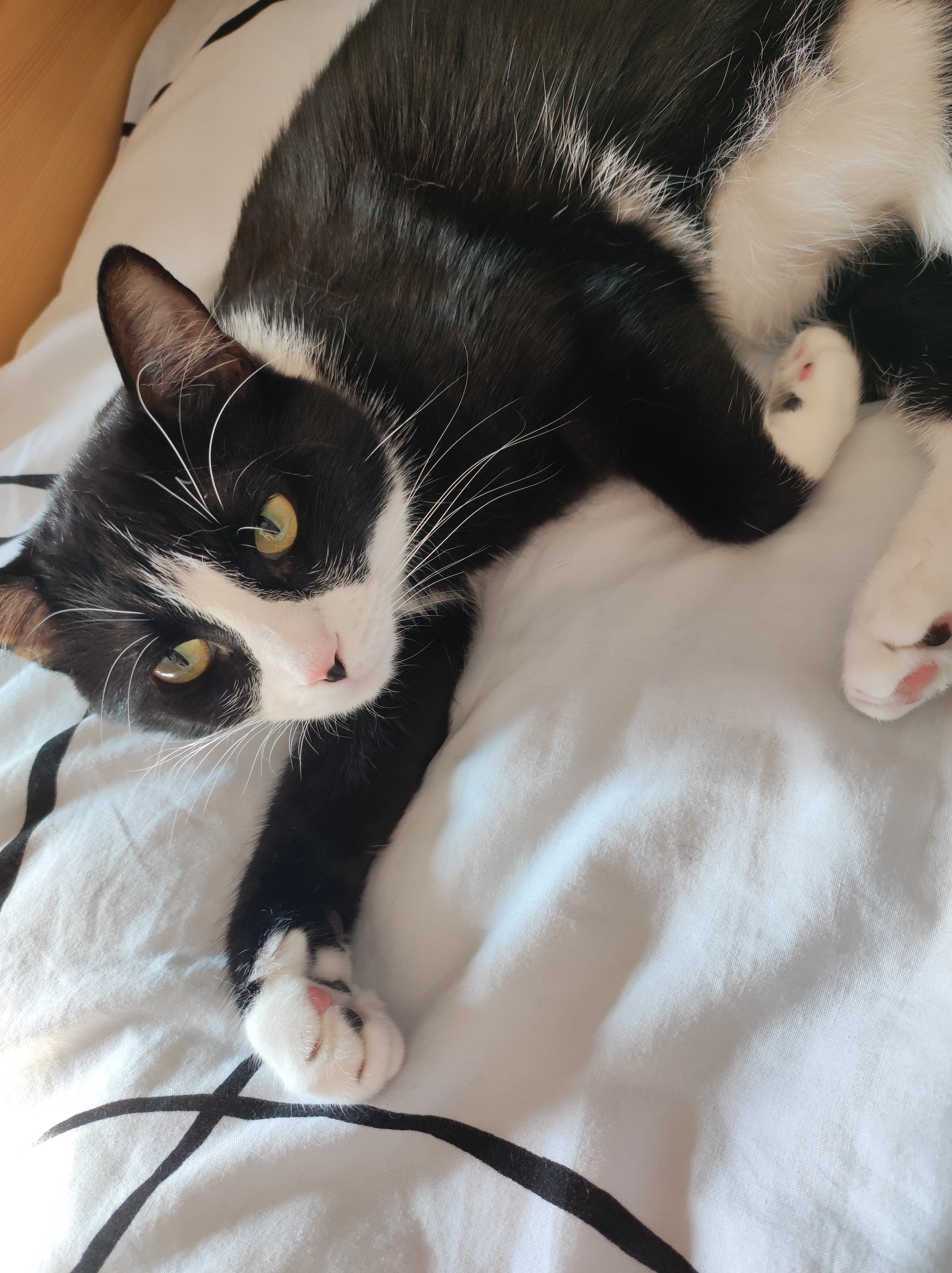 Opie - 12 Rue François Miège, Barberaz