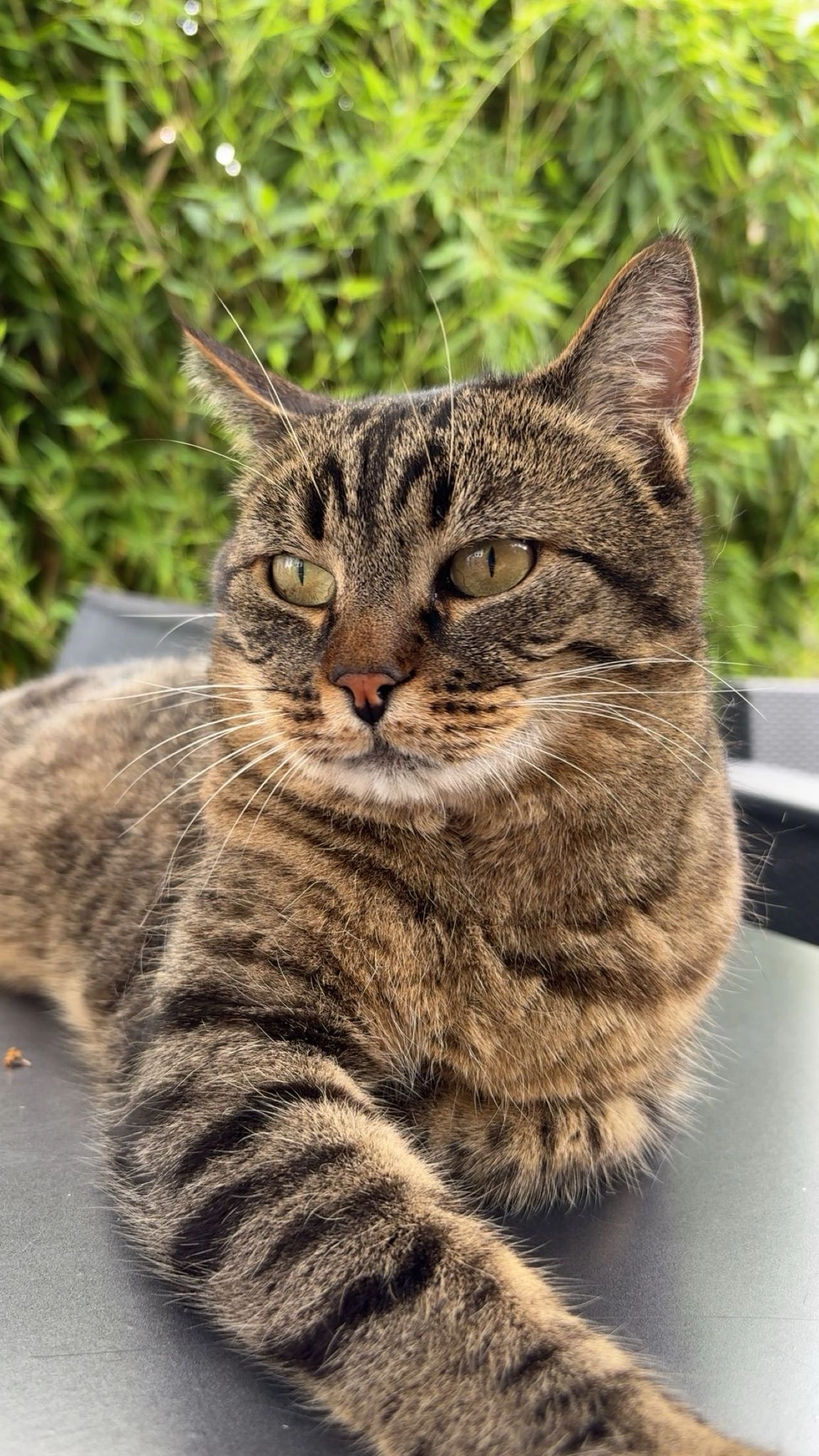 Bucky - 6 Rue Henri Bouriche, Angers