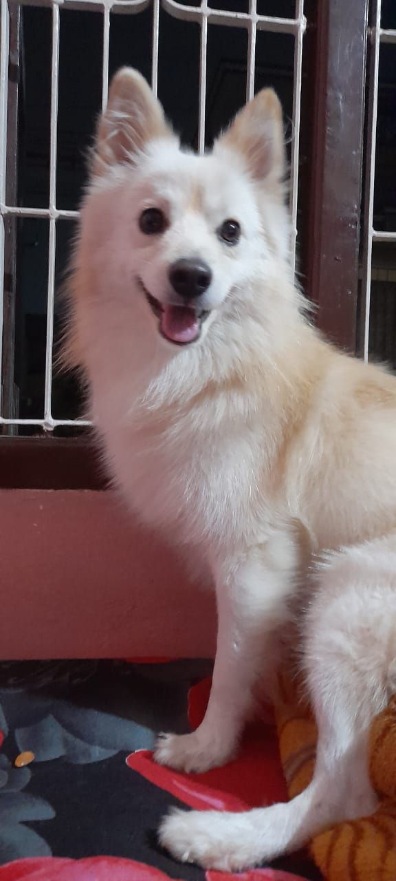 Murphy  - Sh188, Salem