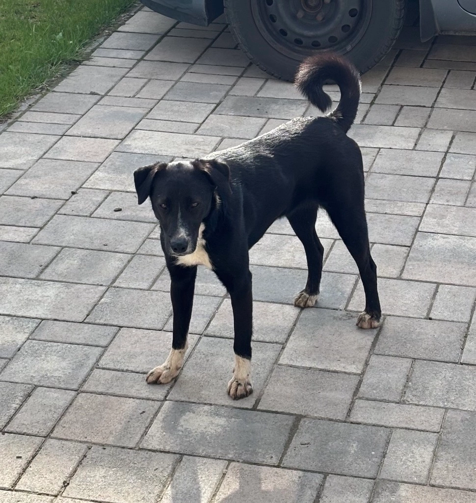 Csipke - Ctibor-Gasse, Prague