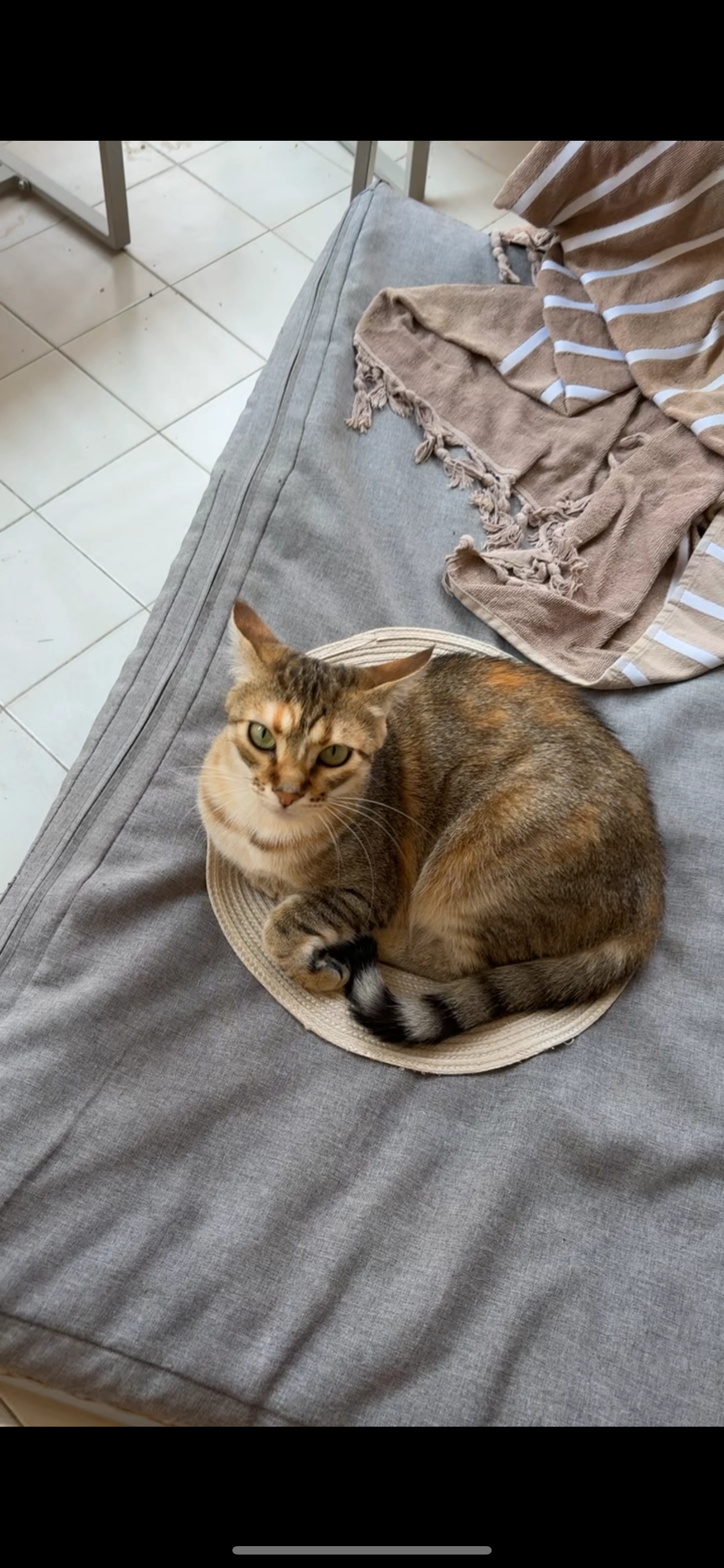 Poupi  - 50 Rue Judith Restnick, Montpellier