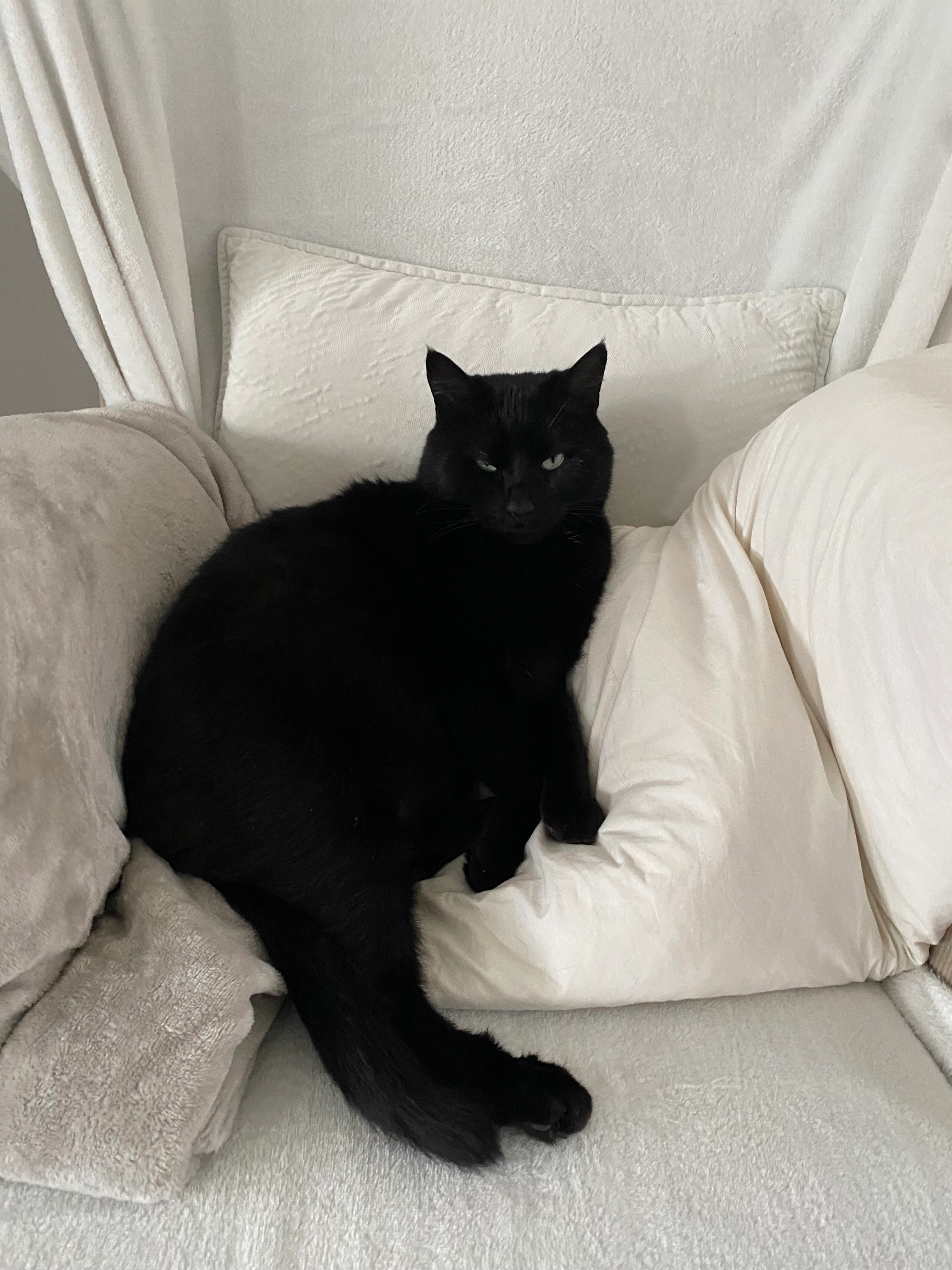 Bibou - Rue Mirabeau, Ozoir-la-Ferrière