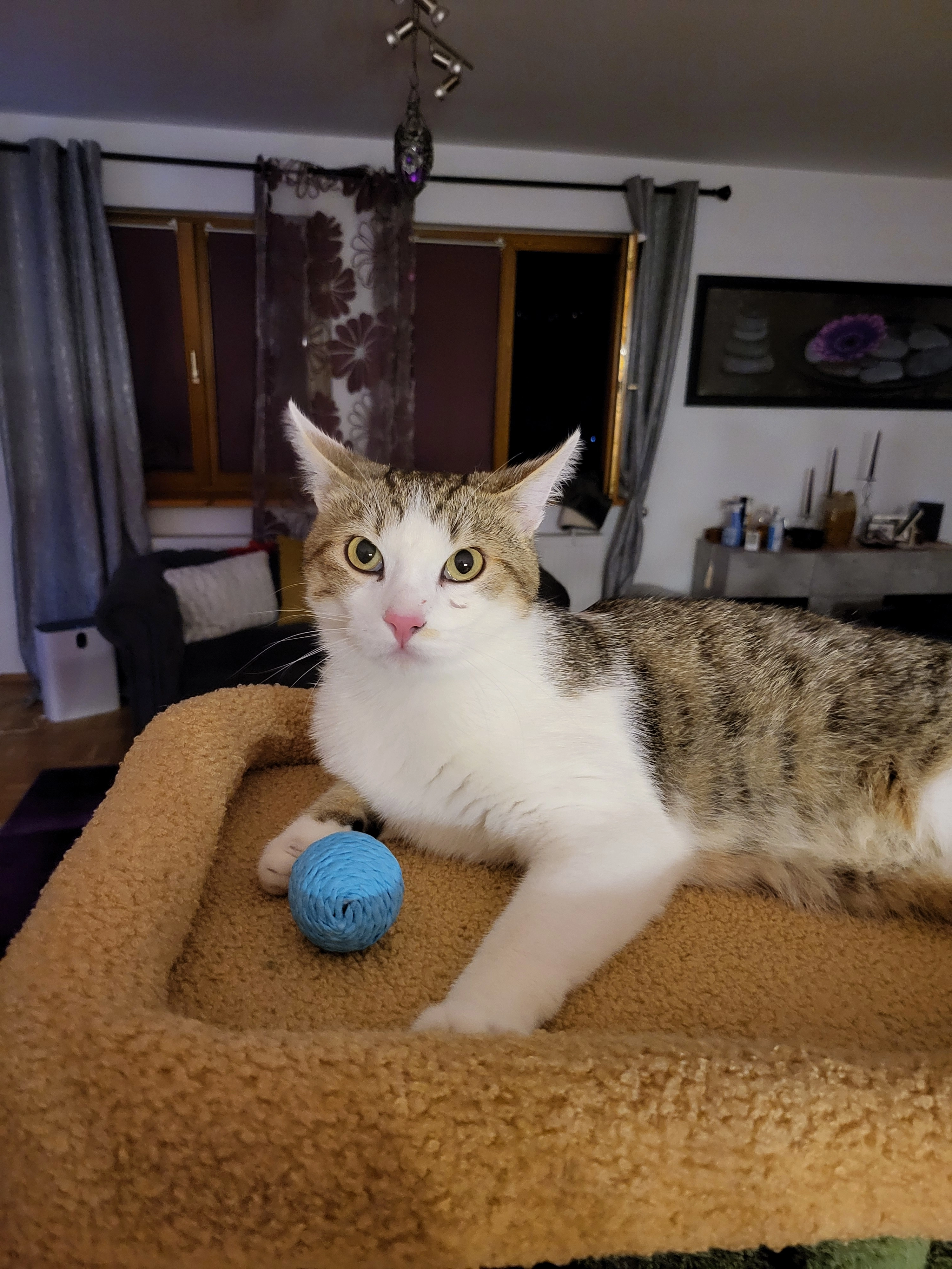 Simba - Dorfstraße, Michelstadt