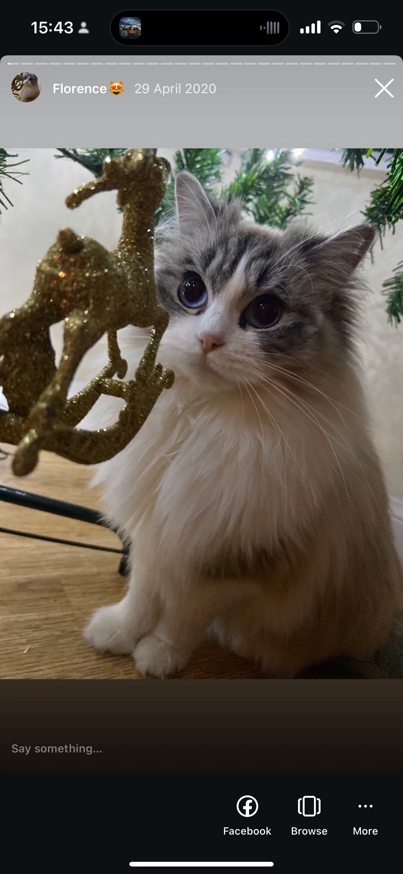 Florence - Boarshaw Clough, Manchester