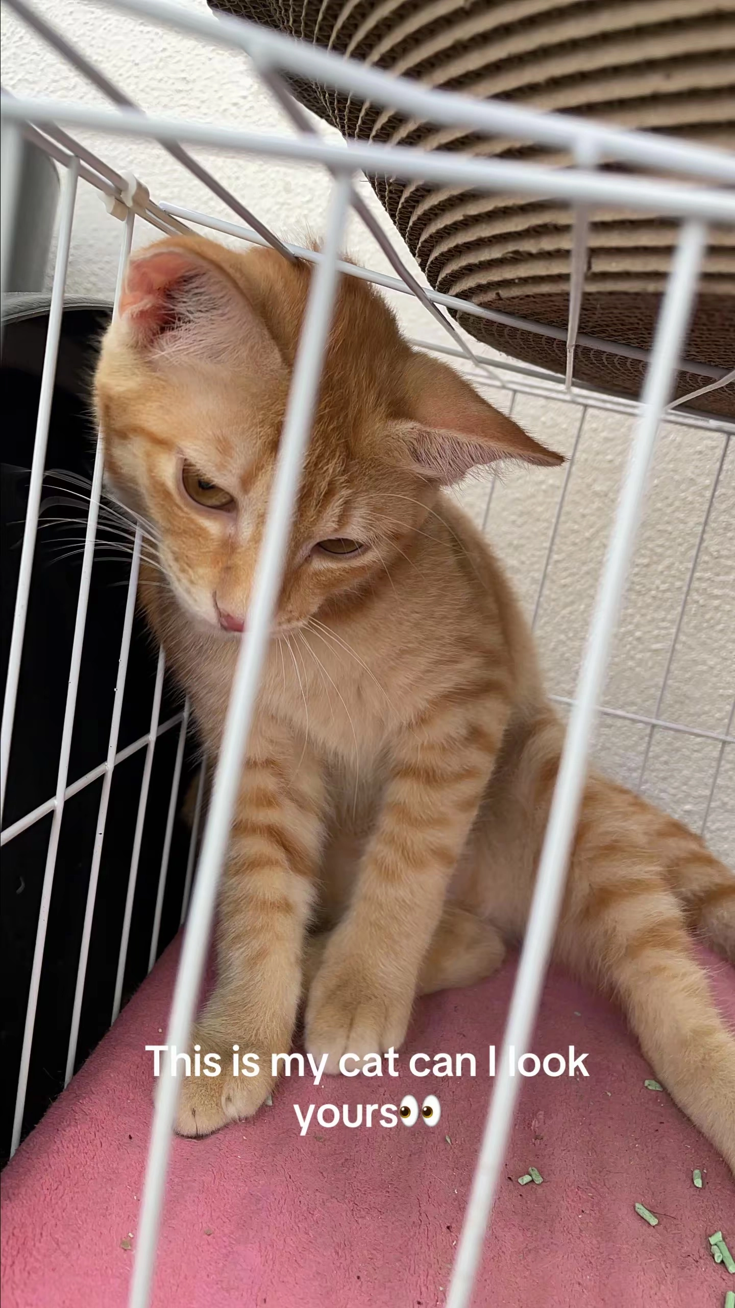 Nimano - 71760, Bandar Enstek